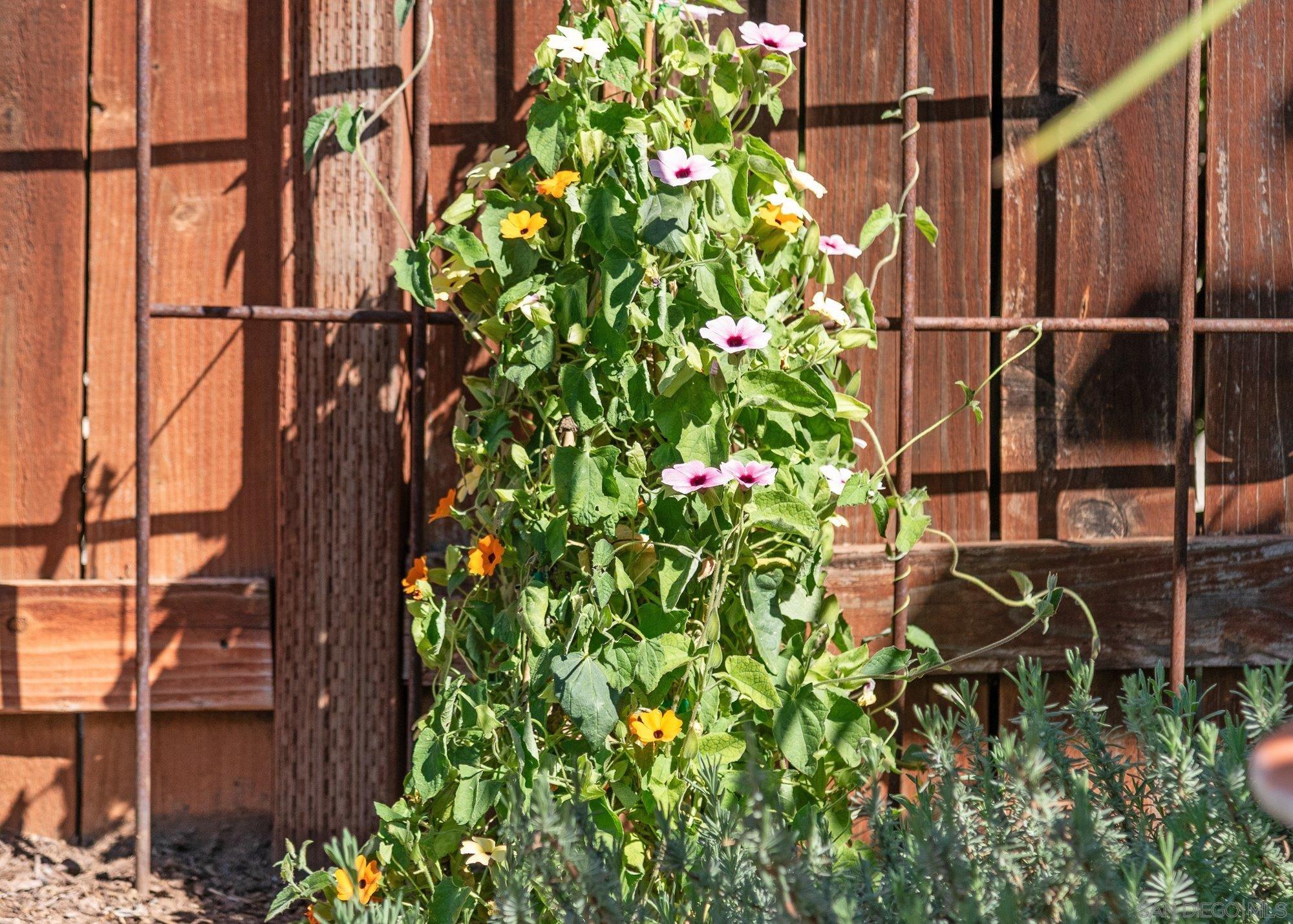 Detail Gallery Image 60 of 74 For 1322  Loma De Paz, Escondido,  CA 92027 - 3 Beds | 2/1 Baths