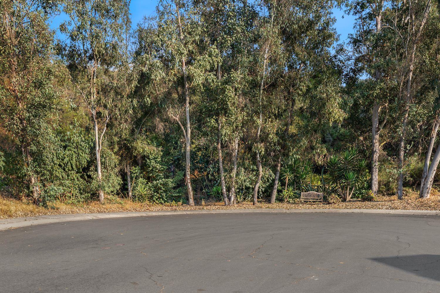 Detail Gallery Image 27 of 31 For 10421  Les Arbres Pl, San Diego,  CA 92131 - 4 Beds | 4 Baths