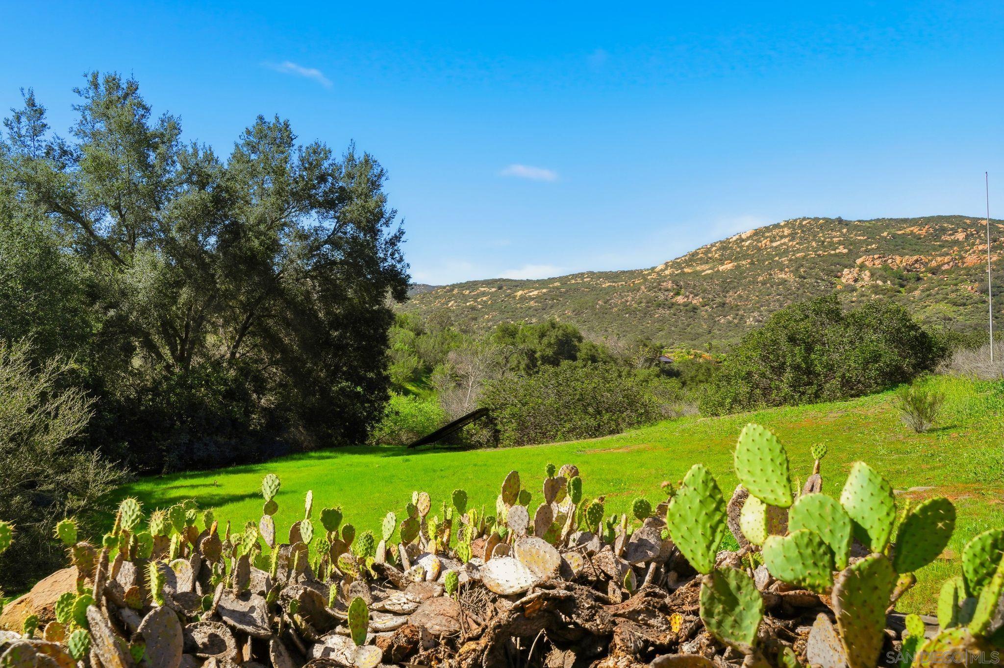 Detail Gallery Image 13 of 15 For , Alpine,  CA 91901 - – Beds | – Baths