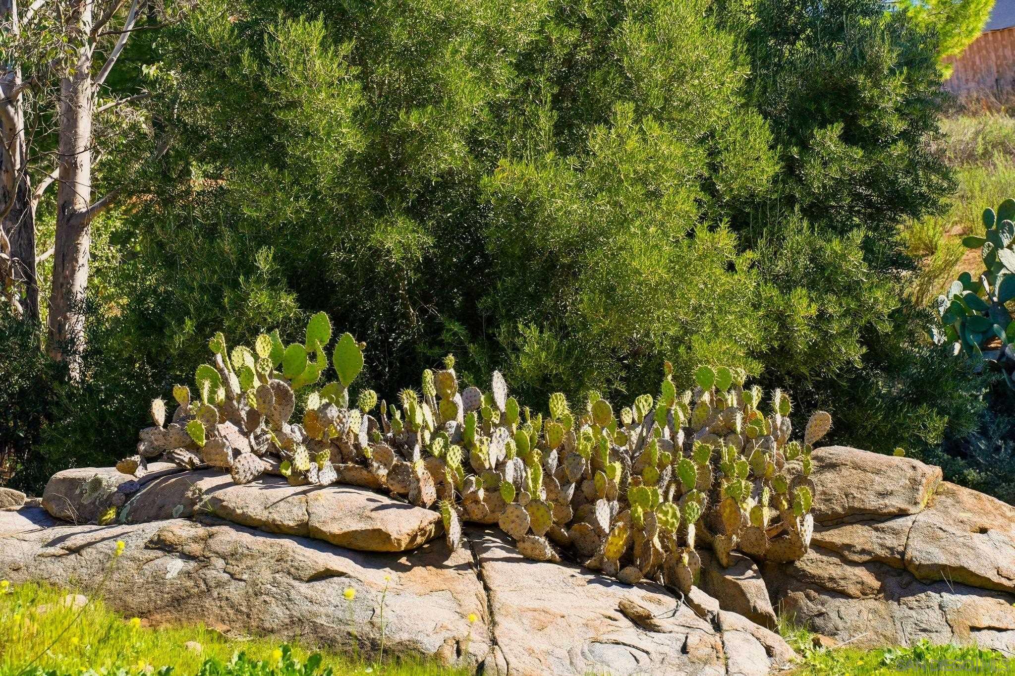 Detail Gallery Image 14 of 15 For , Alpine,  CA 91901 - – Beds | – Baths