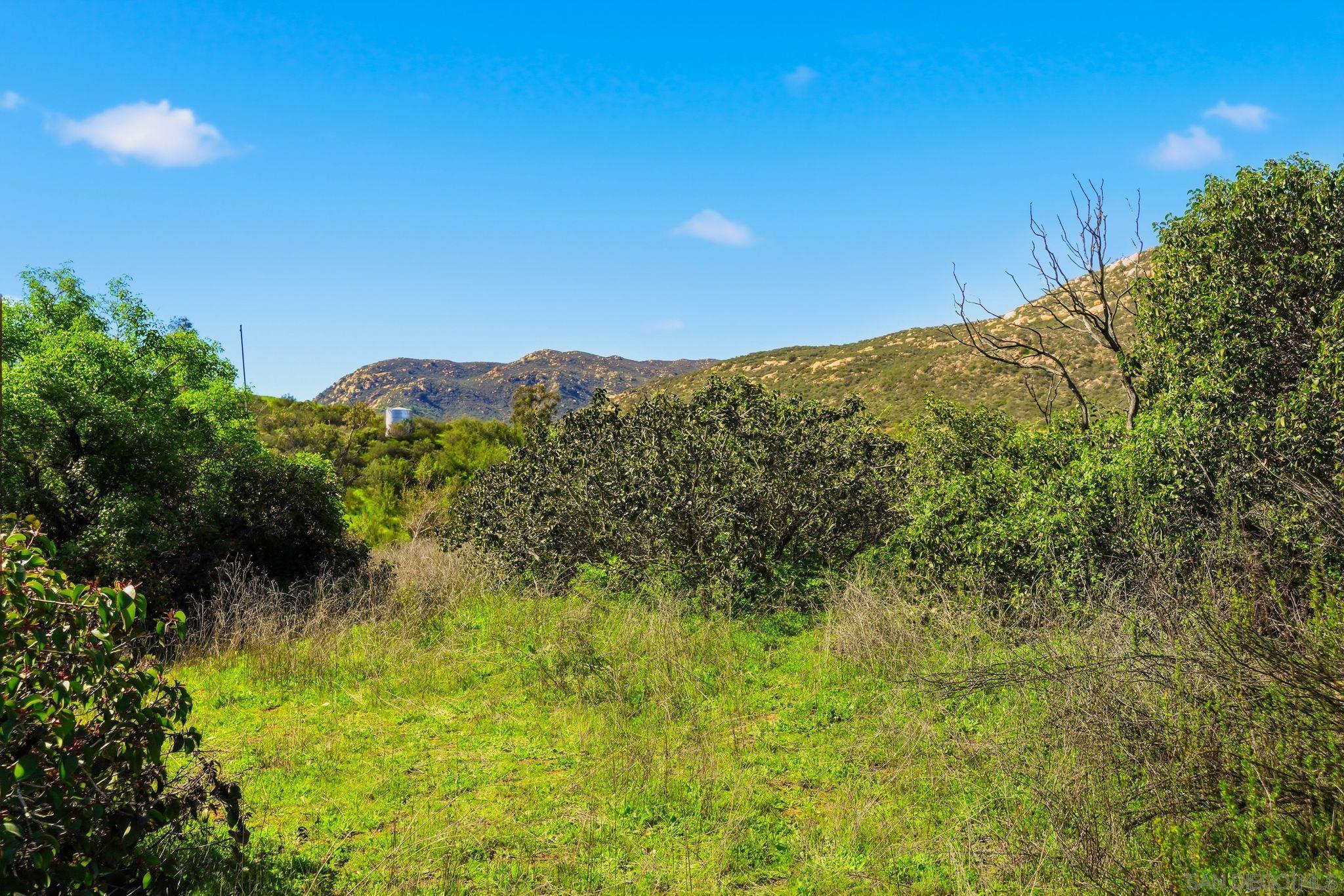 Detail Gallery Image 8 of 15 For , Alpine,  CA 91901 - – Beds | – Baths