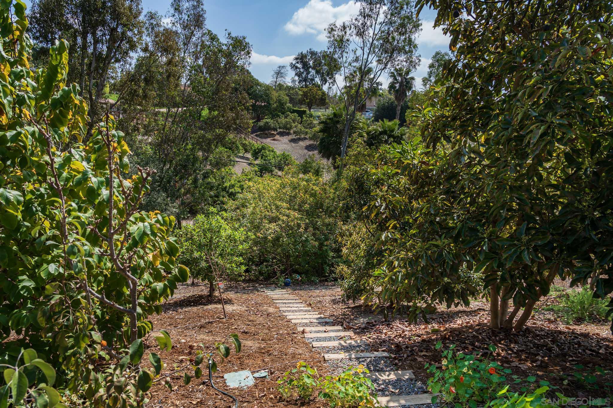 Detail Gallery Image 31 of 36 For 5725  Loma Verde Dr, Rancho Santa Fe,  CA 92067 - 5 Beds | 4/1 Baths
