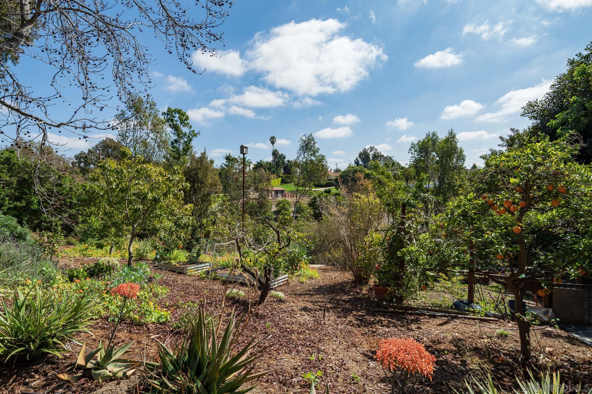 Detail Gallery Image 33 of 36 For 5725  Loma Verde Dr, Rancho Santa Fe,  CA 92067 - 5 Beds | 4/1 Baths