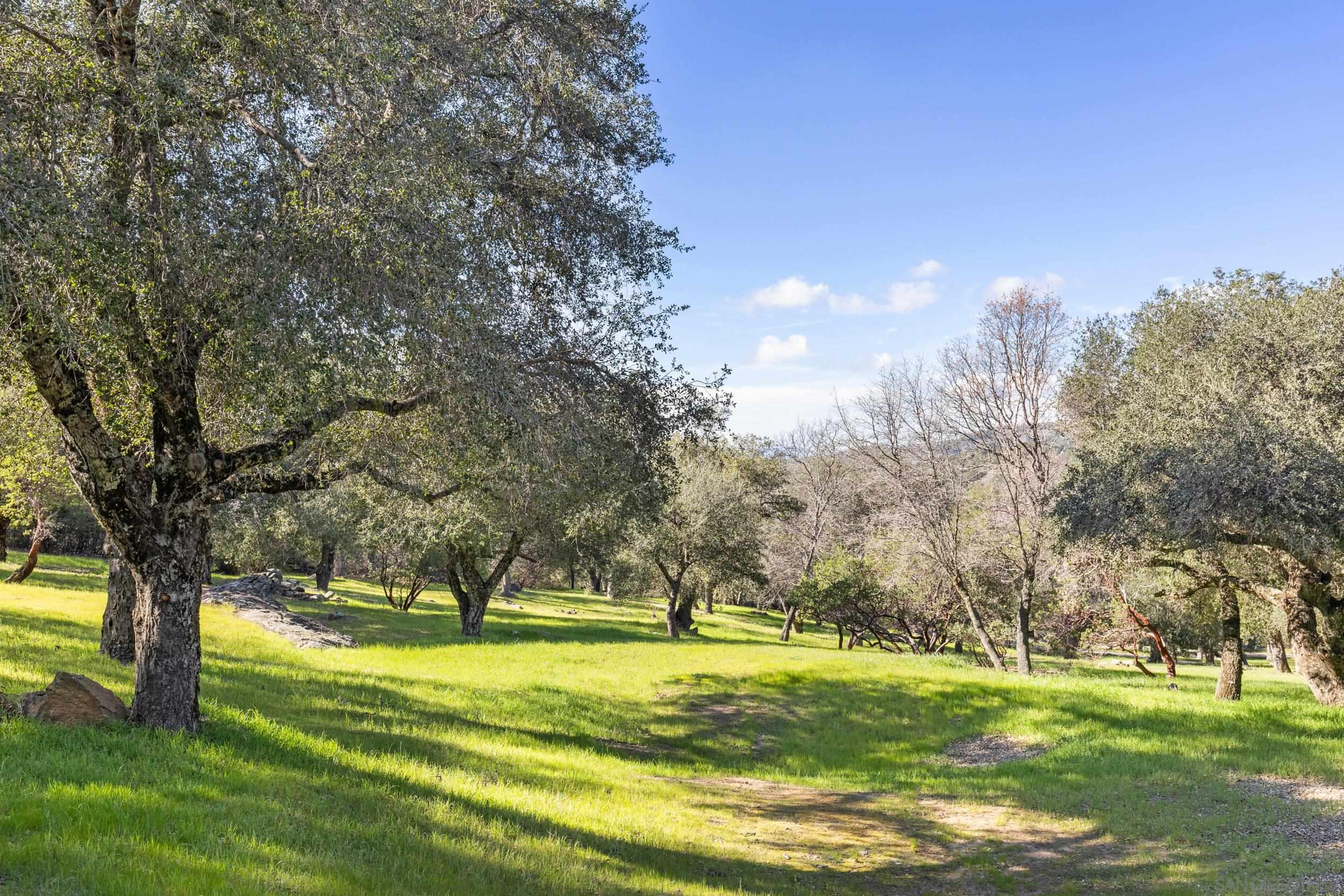 Detail Gallery Image 46 of 68 For 3591  Deer Lake Park Rd, Julian,  CA 92036 - 5 Beds | 4/1 Baths