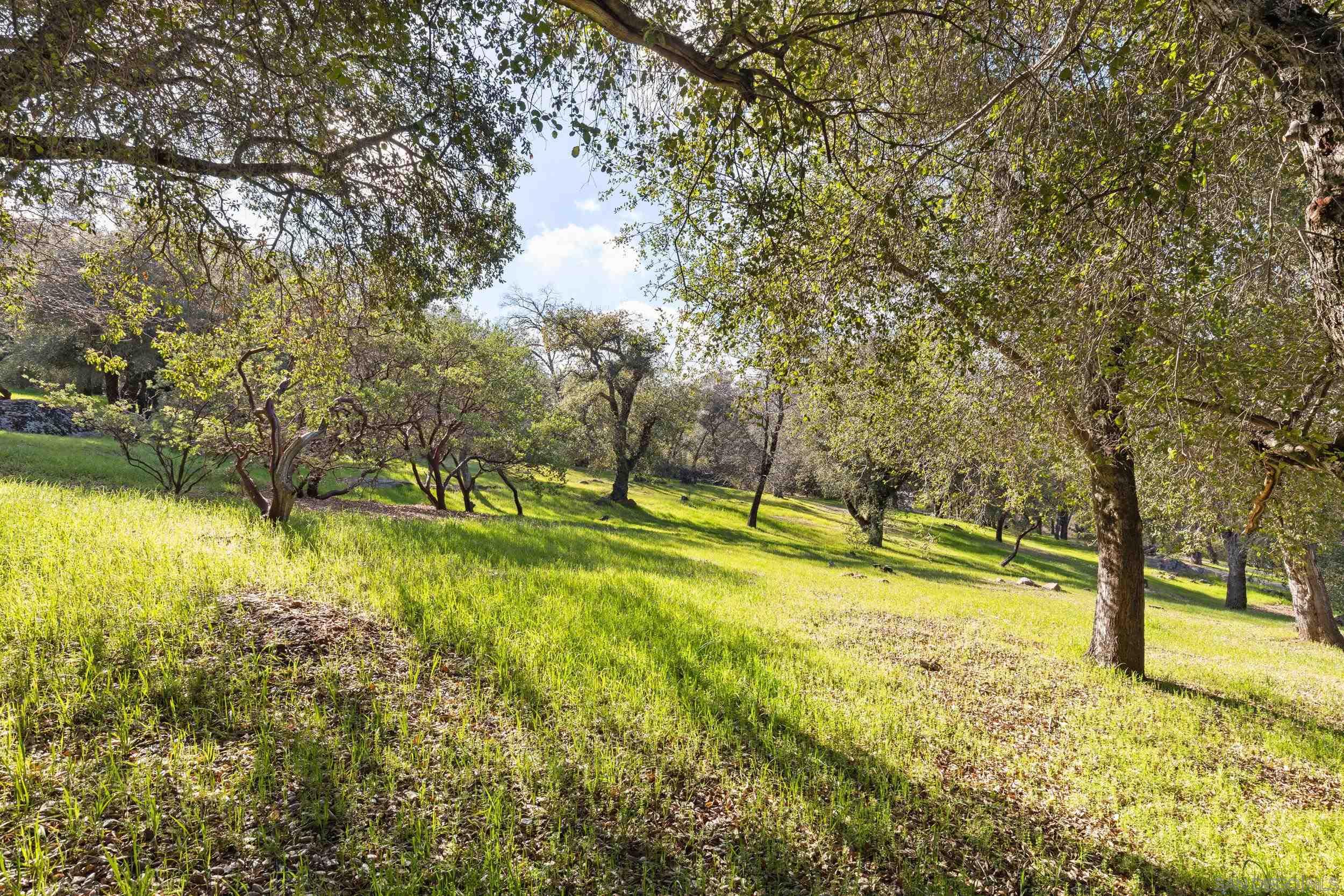 Detail Gallery Image 47 of 68 For 3591  Deer Lake Park Rd, Julian,  CA 92036 - 5 Beds | 4/1 Baths