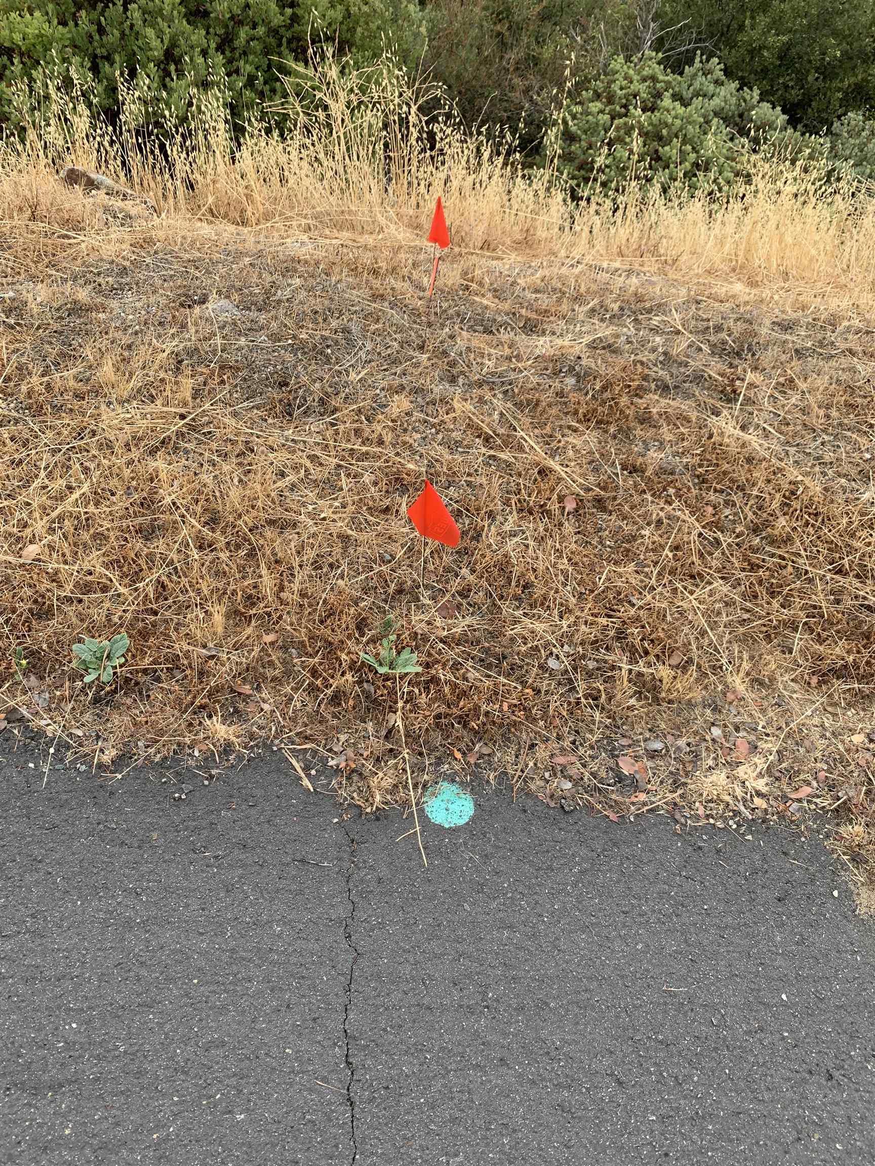 Detail Gallery Image 19 of 20 For , Julian,  CA 92036 - – Beds | – Baths