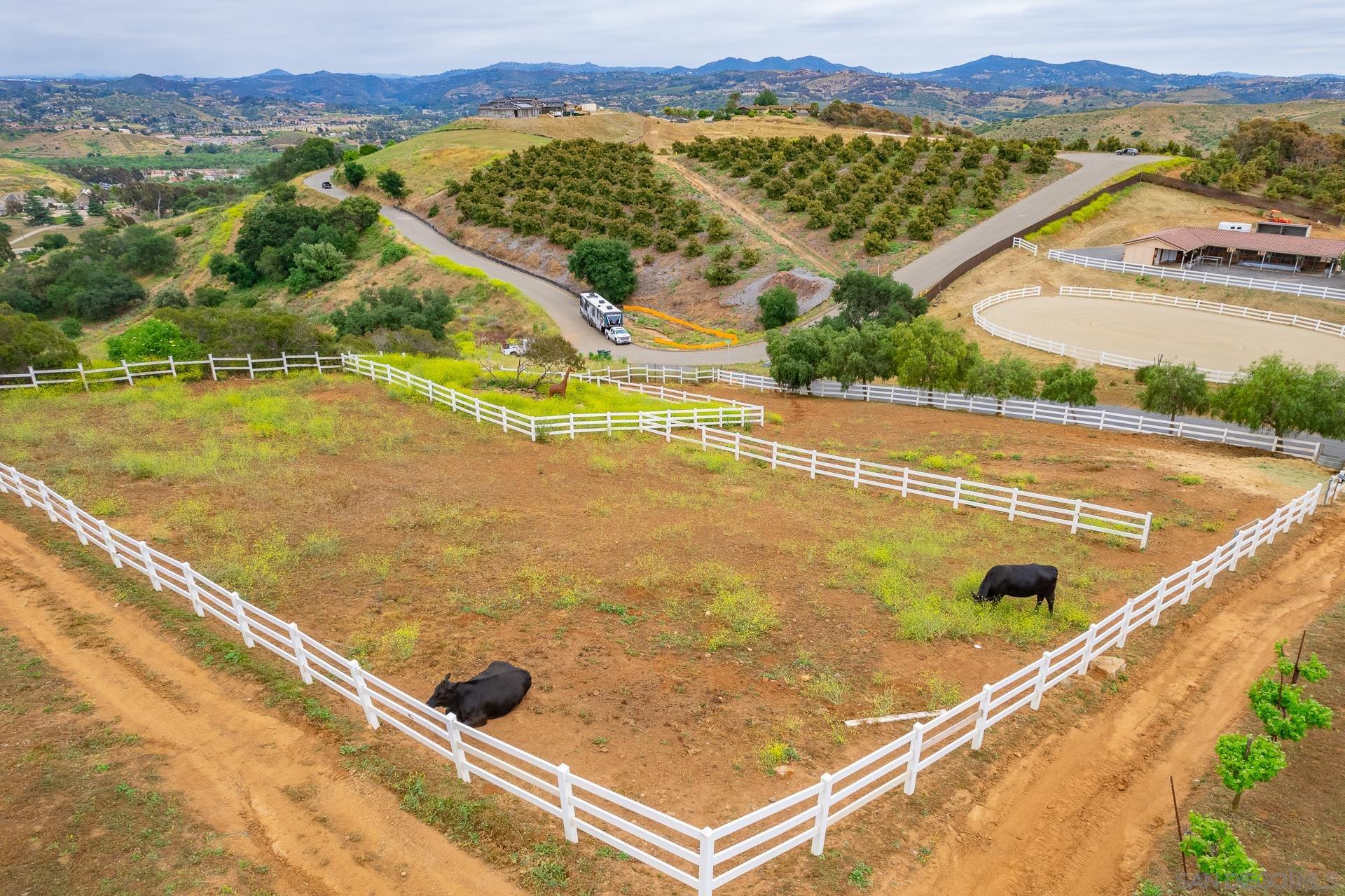 Detail Gallery Image 6 of 68 For 5320  Olive Hill Trl, Bonsall,  CA 92003 - 7 Beds | 6/1 Baths