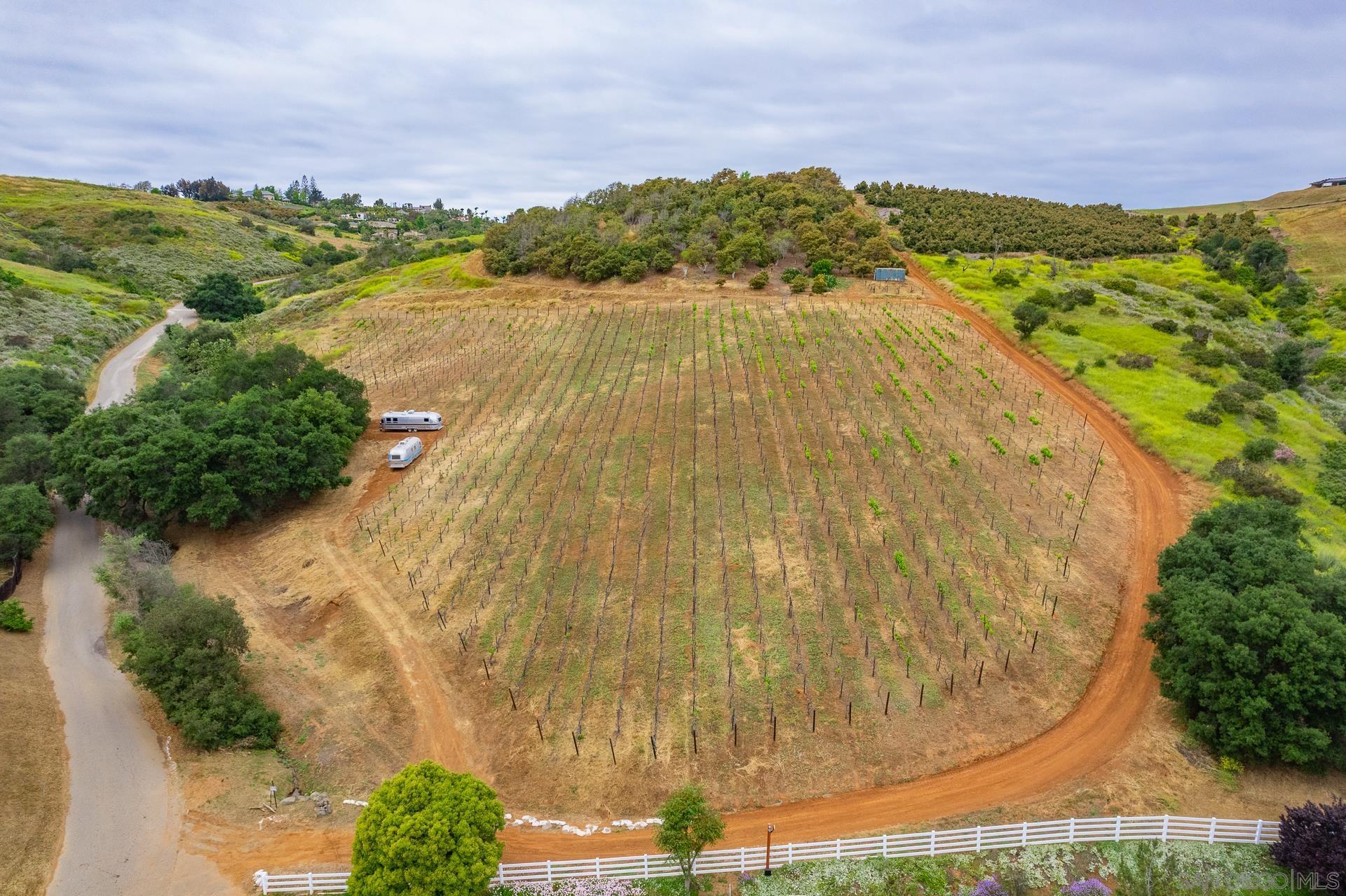 Detail Gallery Image 52 of 68 For 5320  Olive Hill Trl, Bonsall,  CA 92003 - 7 Beds | 6/1 Baths