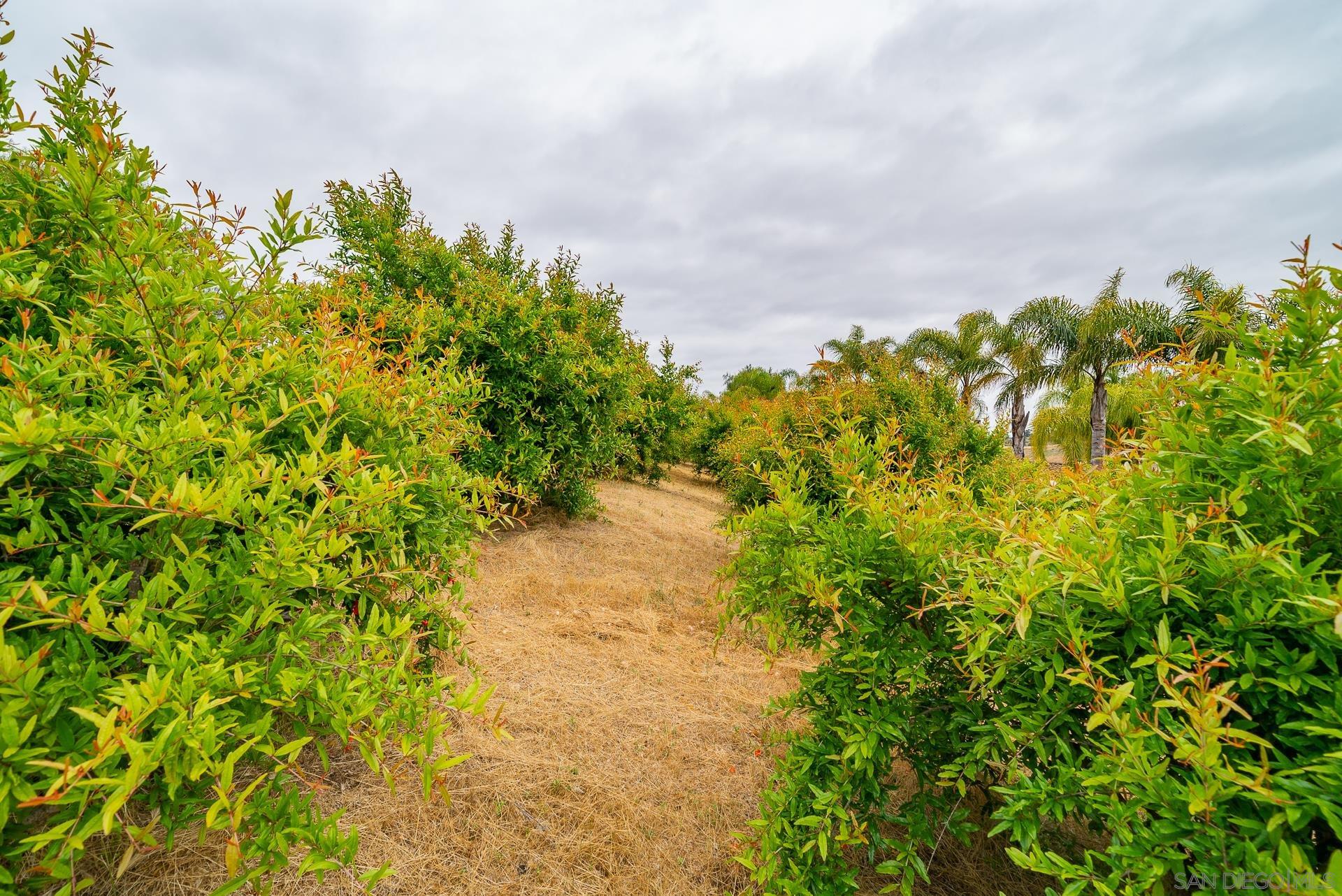 Detail Gallery Image 57 of 68 For 5320  Olive Hill Trl, Bonsall,  CA 92003 - 7 Beds | 6/1 Baths