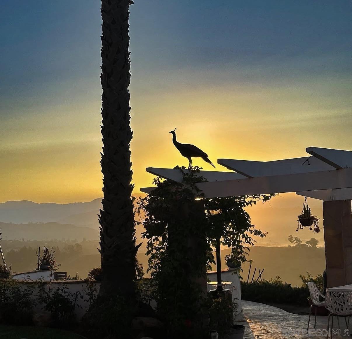 Detail Gallery Image 63 of 68 For 5320  Olive Hill Trl, Bonsall,  CA 92003 - 7 Beds | 6/1 Baths