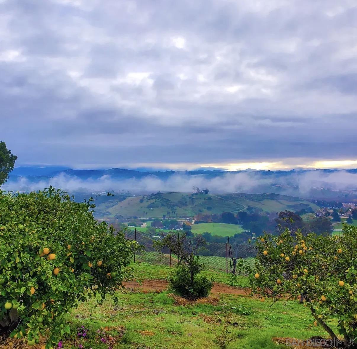Detail Gallery Image 64 of 68 For 5320  Olive Hill Trl, Bonsall,  CA 92003 - 7 Beds | 6/1 Baths