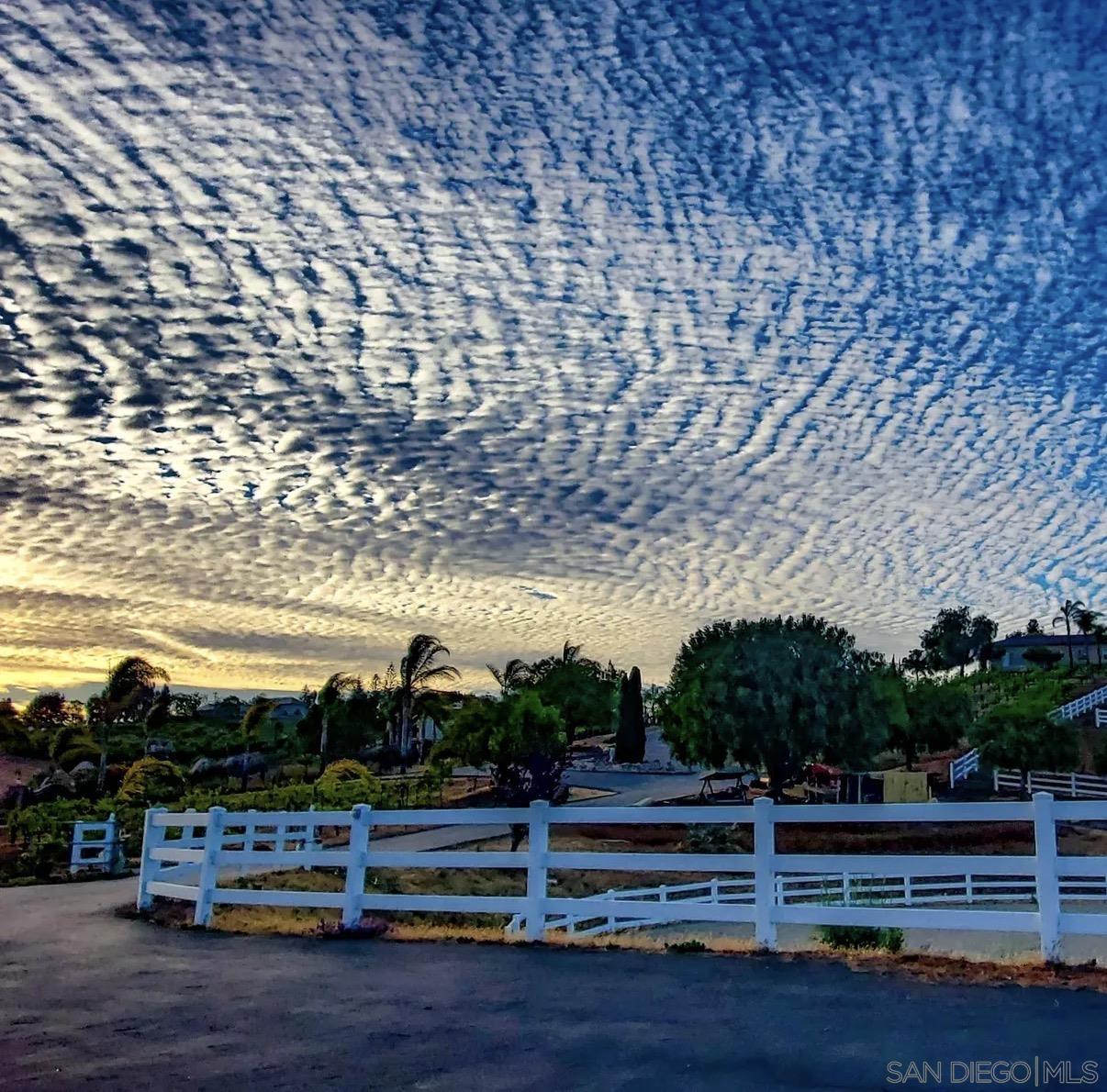 Detail Gallery Image 67 of 68 For 5320  Olive Hill Trl, Bonsall,  CA 92003 - 7 Beds | 6/1 Baths