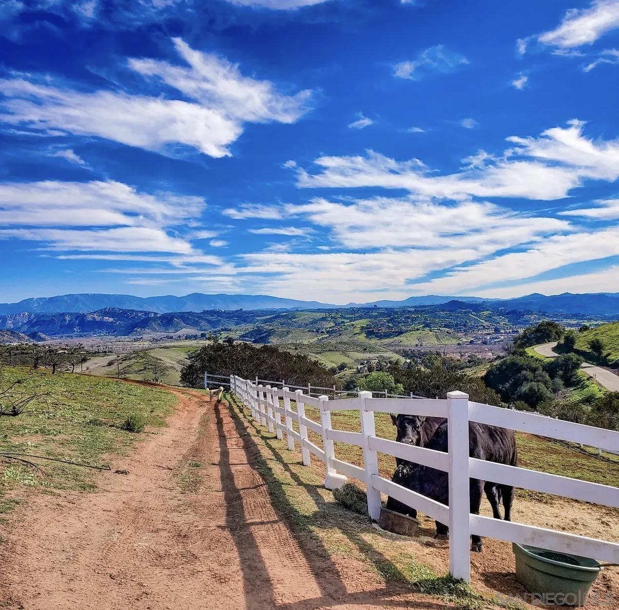 Detail Gallery Image 68 of 68 For 5320  Olive Hill Trl, Bonsall,  CA 92003 - 7 Beds | 6/1 Baths