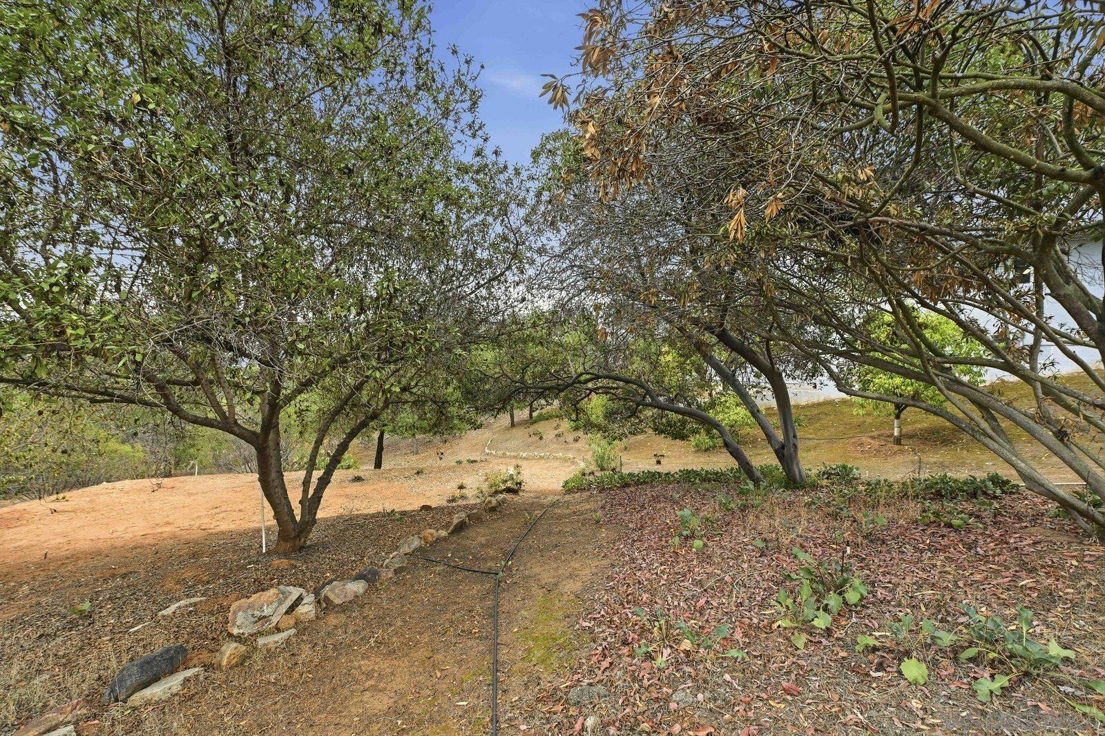 Detail Gallery Image 48 of 56 For 3132  Don Rolando, Escondido,  CA 92025 - 4 Beds | 3/1 Baths