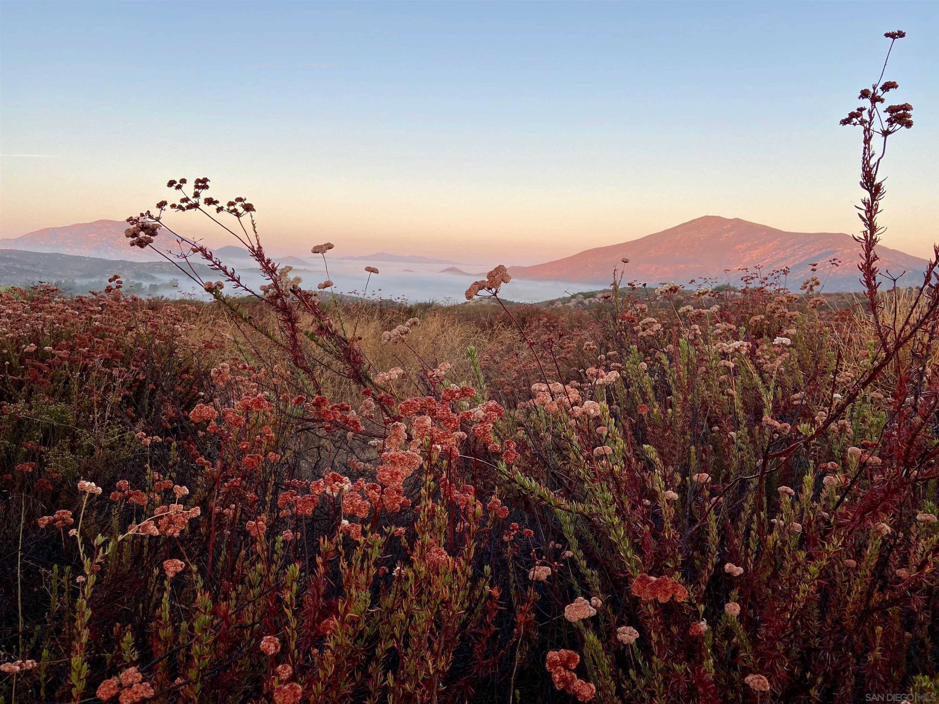 Detail Gallery Image 23 of 34 For 25675  Potrero Park Dr, Potrero,  CA 91963 - 3 Beds | 2 Baths