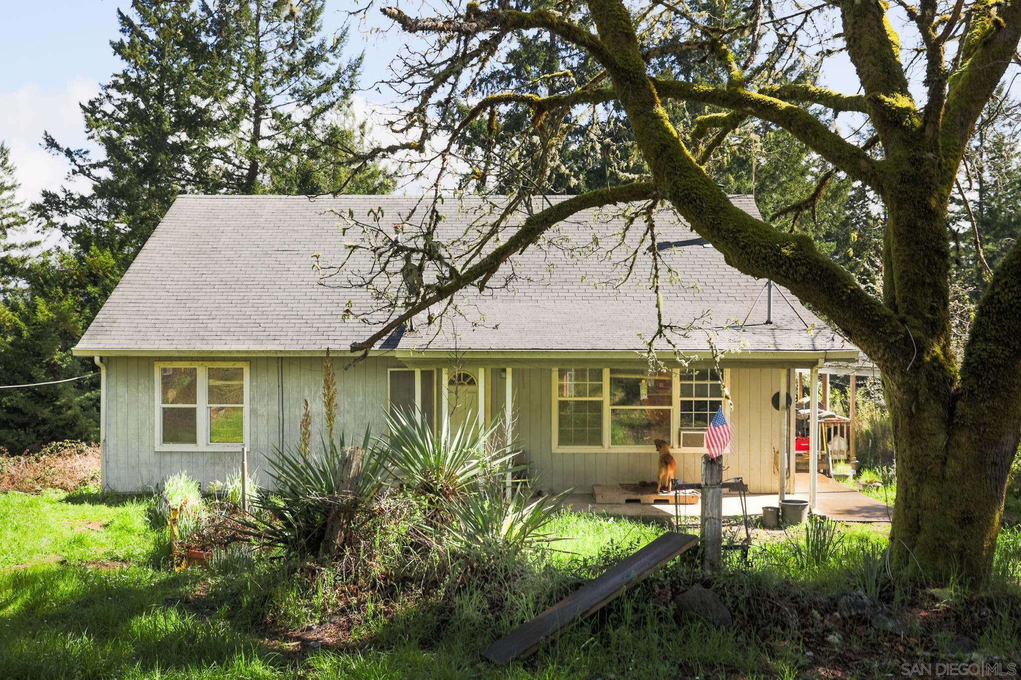 Detail Gallery Image 4 of 24 For 9897  Dyerville Loop Rd, Myers Flat,  CA 95554 - 3 Beds | 2 Baths