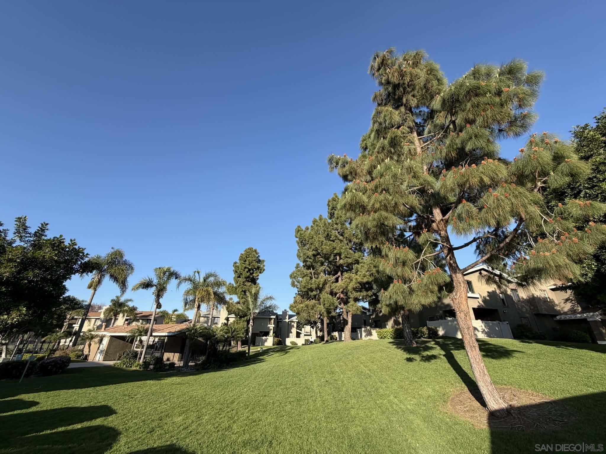 Detail Gallery Image 6 of 7 For 1512  Concord Way a, Chula Vista,  CA 91911 - 2 Beds | 2 Baths