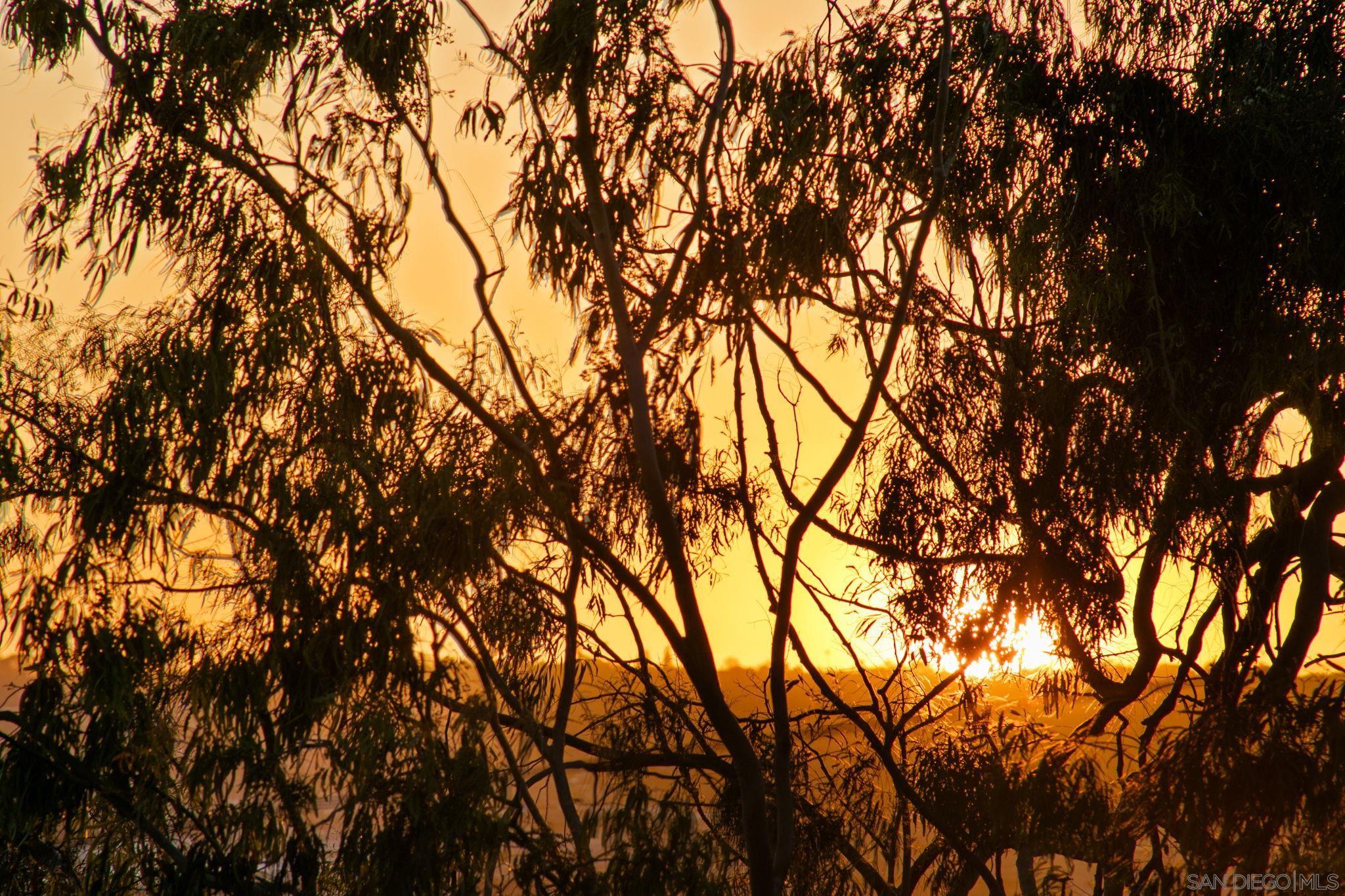 Detail Gallery Image 54 of 74 For 3033  India St.  #6,  San Diego,  CA 92103 - 3 Beds | 2/1 Baths