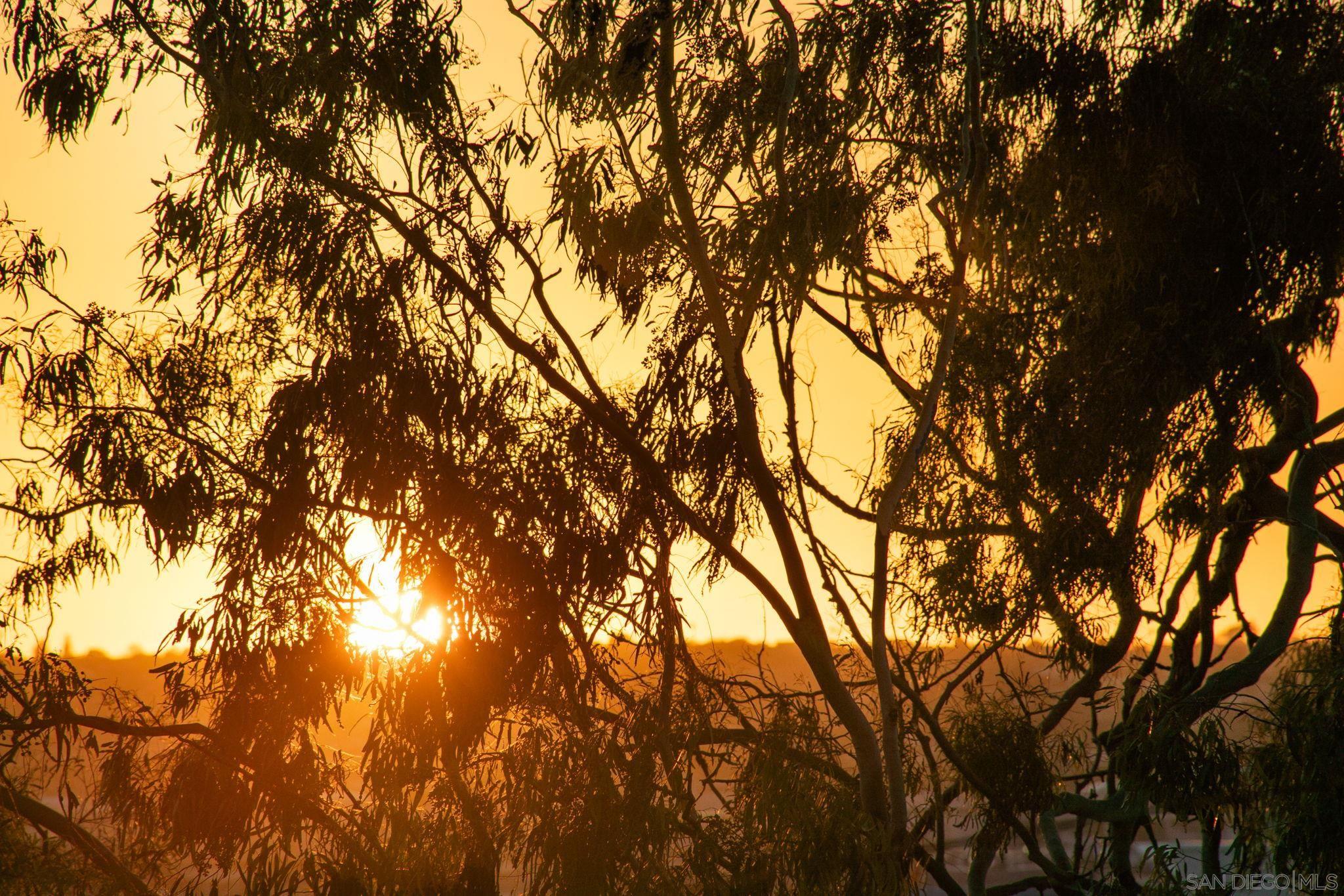 Detail Gallery Image 55 of 74 For 3033  India St.  #6,  San Diego,  CA 92103 - 3 Beds | 2/1 Baths