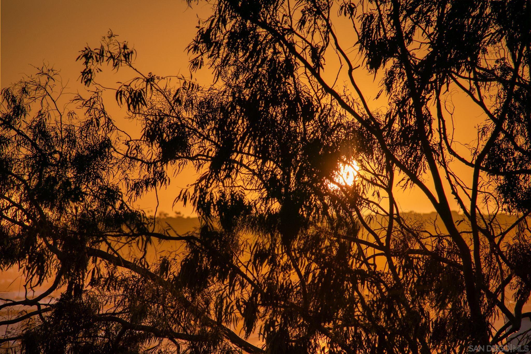 Detail Gallery Image 56 of 74 For 3033  India St.  #6,  San Diego,  CA 92103 - 3 Beds | 2/1 Baths