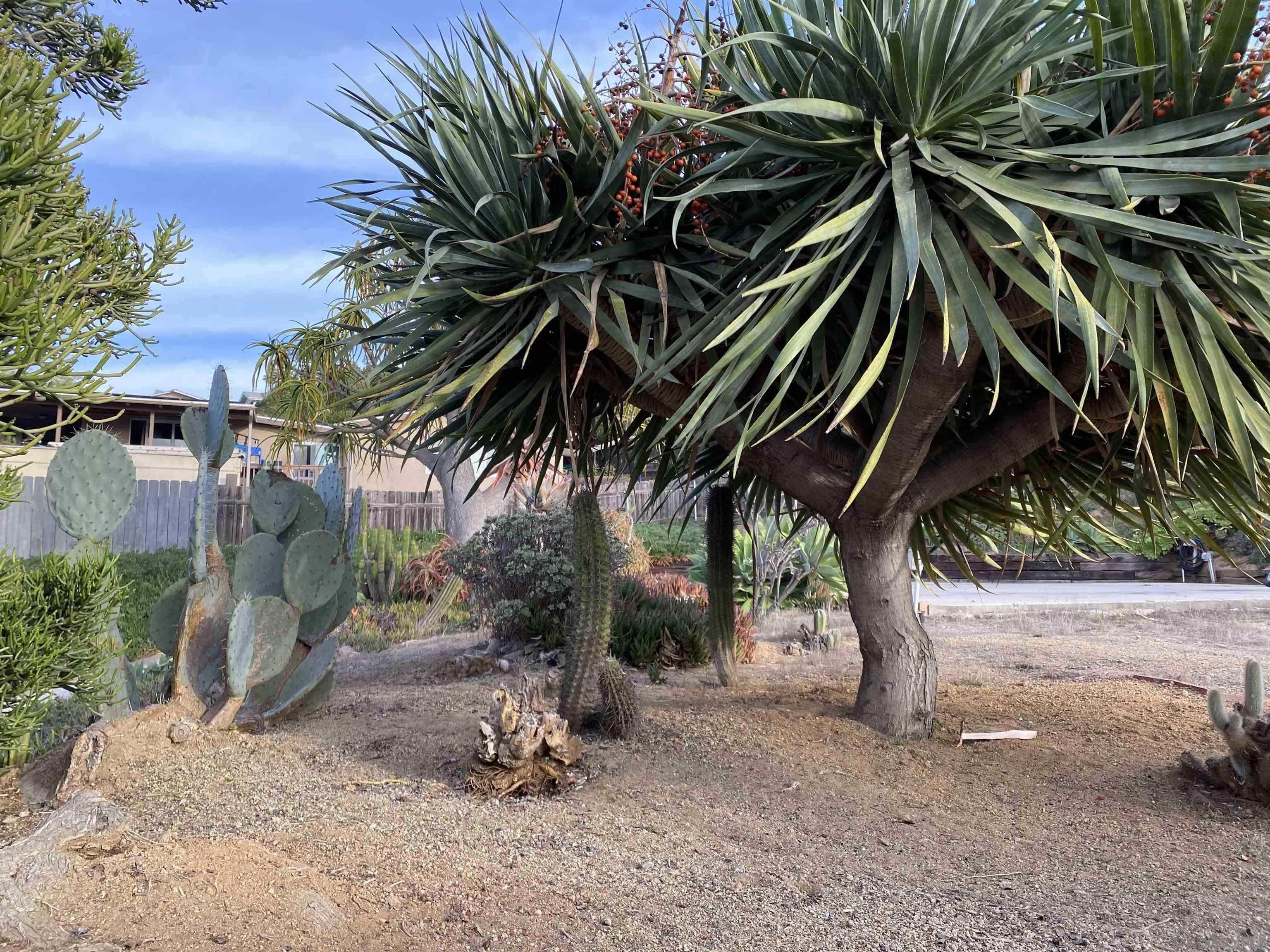 Detail Gallery Image 4 of 20 For , El Cajon,  CA 92021 - – Beds | – Baths