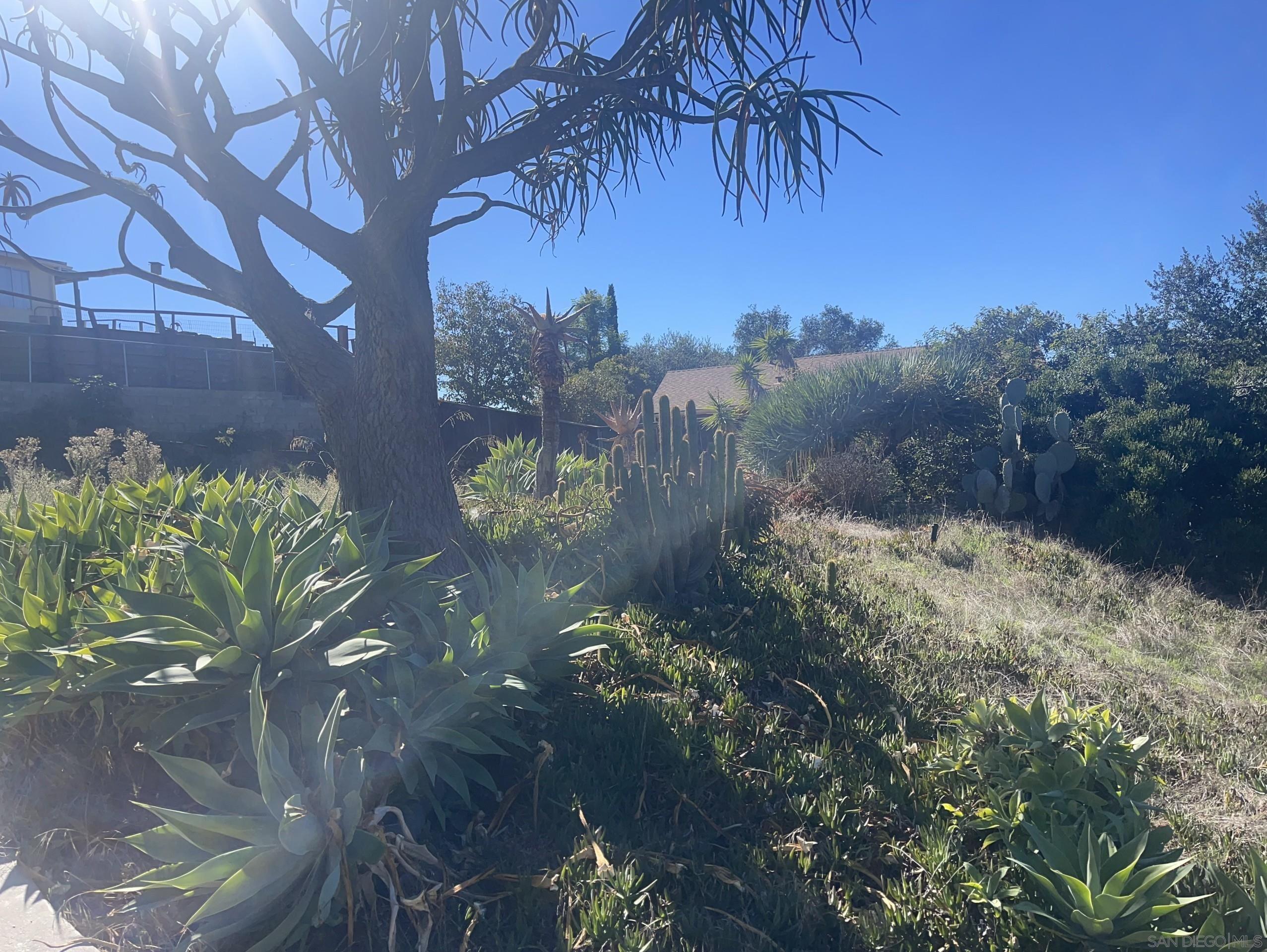 Detail Gallery Image 8 of 20 For , El Cajon,  CA 92021 - – Beds | – Baths