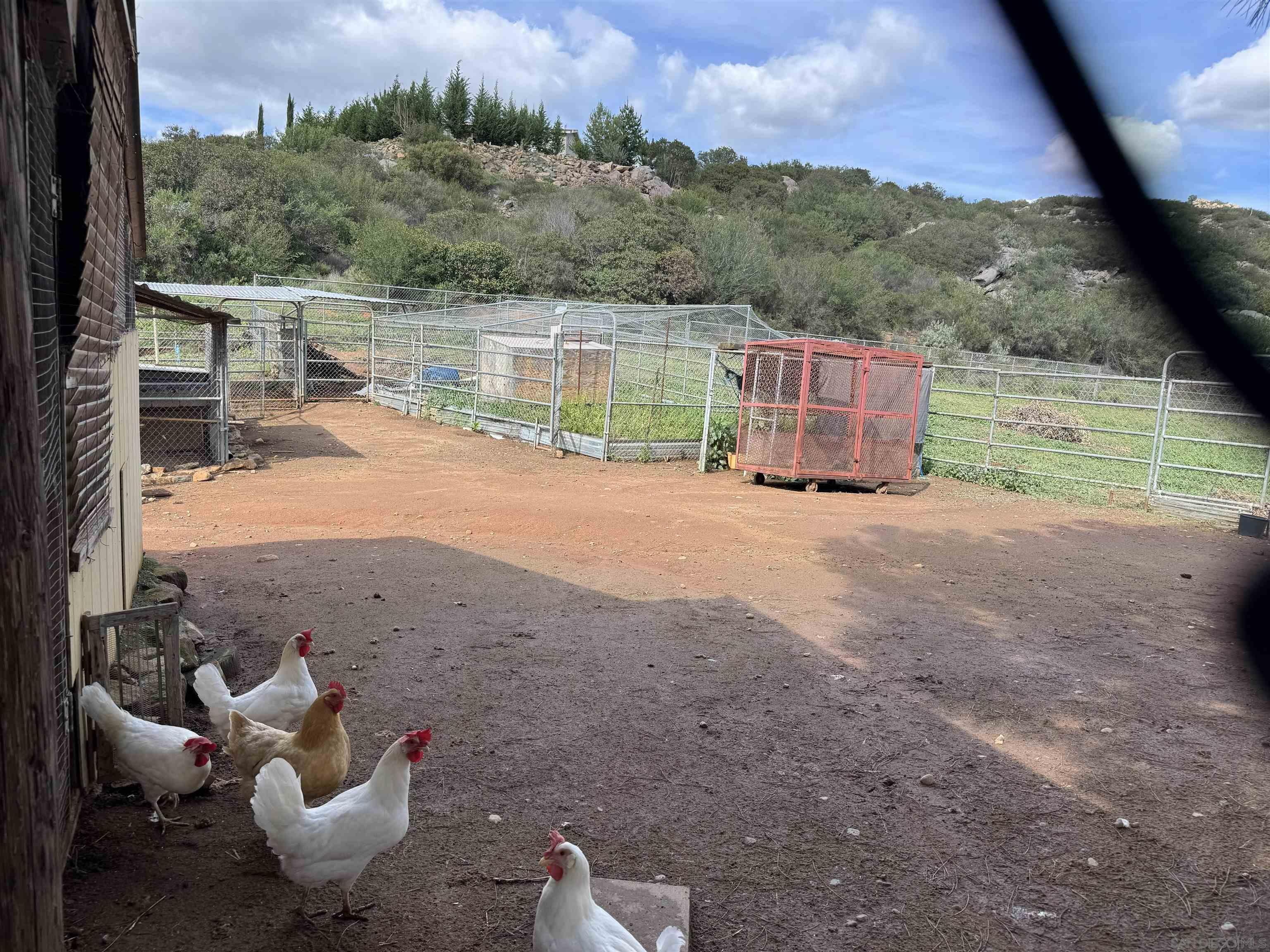 Detail Gallery Image 25 of 28 For 14959  Mussey Grade Rd, Ramona,  CA 92065 - 5 Beds | 2 Baths