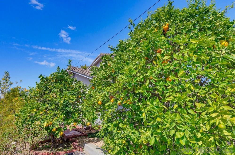 Detail Gallery Image 53 of 57 For 7228  Wembley, San Diego,  CA 92120 - 4 Beds | 2 Baths