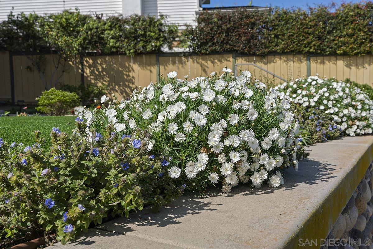 Detail Gallery Image 6 of 66 For 2133  Pine St, San Diego,  CA 92103 - 2 Beds | 2 Baths