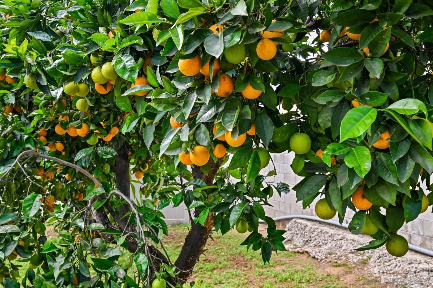 Detail Gallery Image 14 of 14 For 1526  Greenfield Dr, El Cajon,  CA 92021 - 2 Beds | 1 Baths