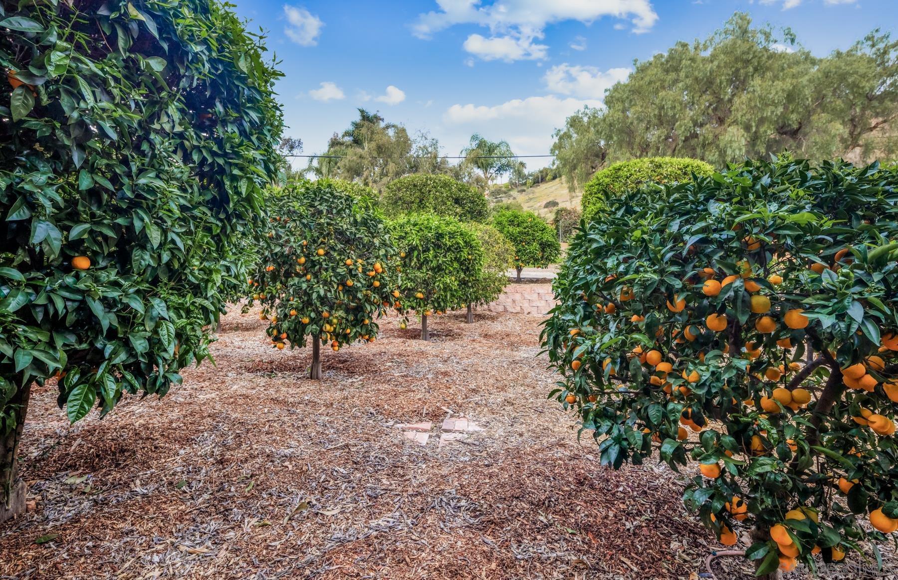 Detail Gallery Image 34 of 50 For 2035-41  Mango Glen, Vista,  CA 92084 - 6 Beds | 4/1 Baths
