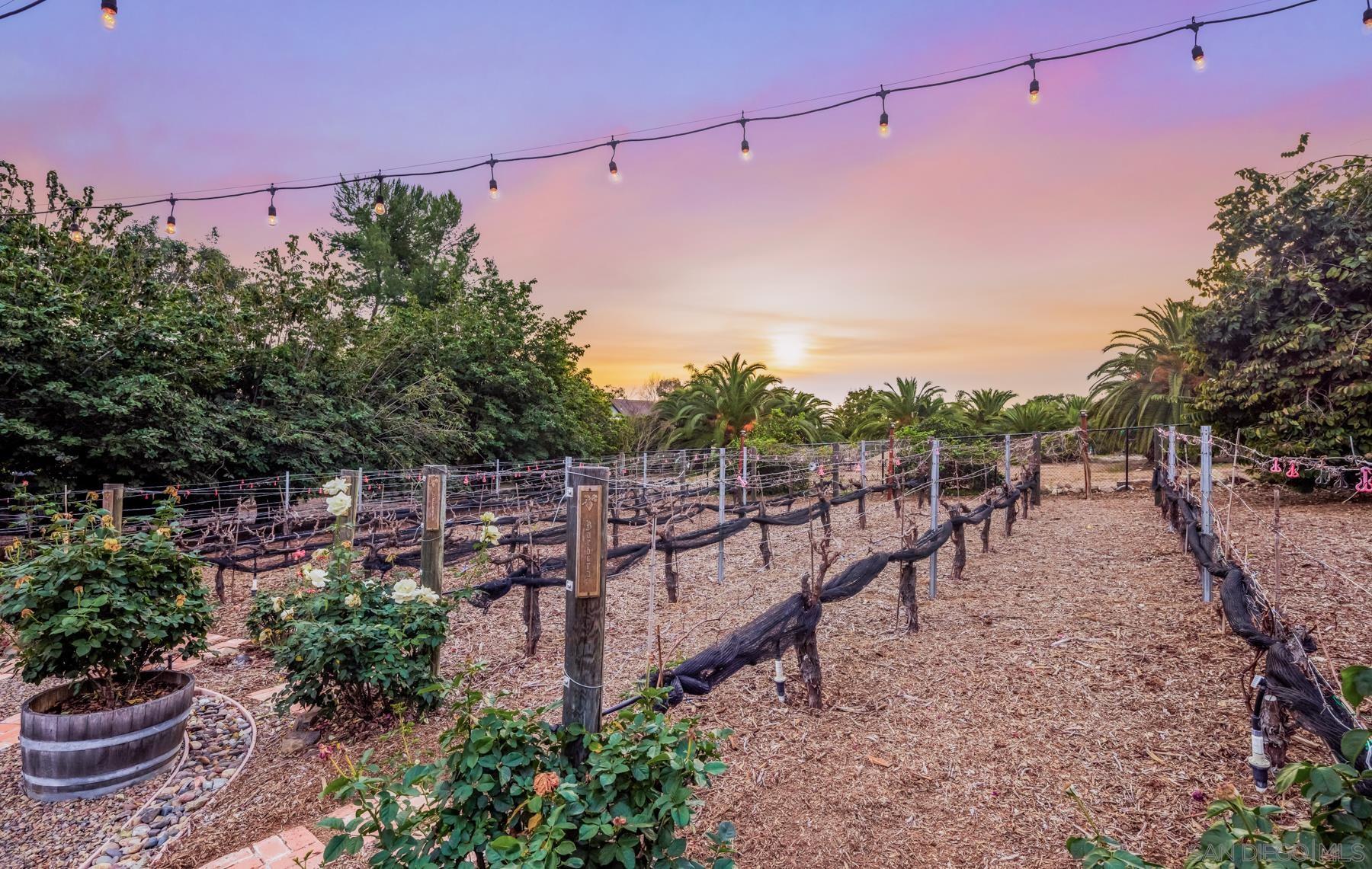 Detail Gallery Image 35 of 50 For 2035-41  Mango Glen, Vista,  CA 92084 - 6 Beds | 4/1 Baths