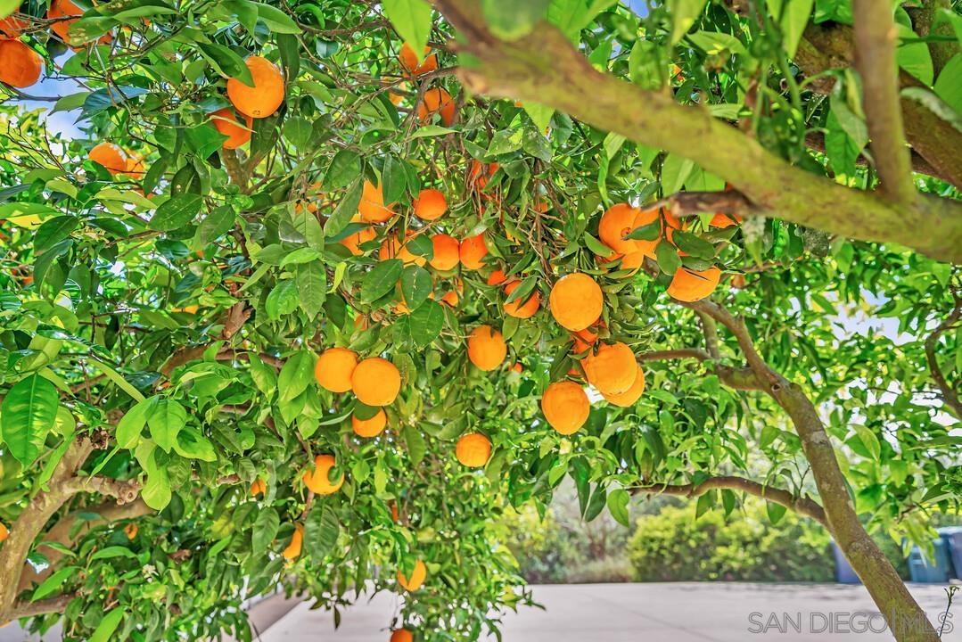 Detail Gallery Image 40 of 60 For 14930  Eastvale, Poway,  CA 92064 - 4 Beds | 2/1 Baths