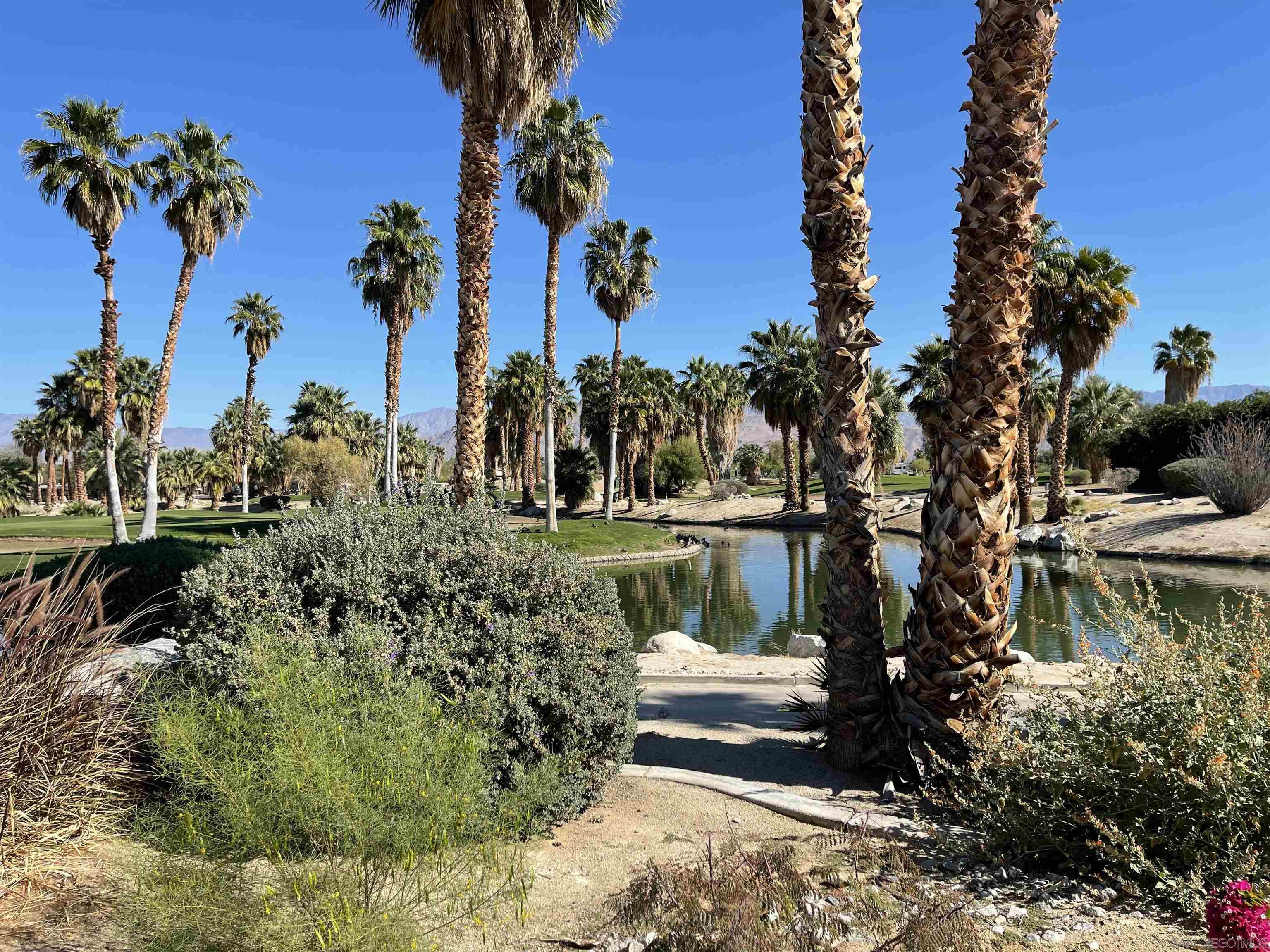 Detail Gallery Image 10 of 15 For 1010  Palm Canyon Dr.  #394,  Borrego Springs,  CA 92004 - 3 Beds | 2 Baths