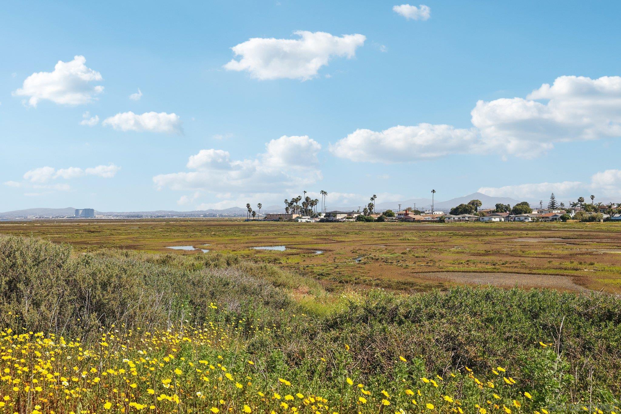 Detail Gallery Image 8 of 62 For 502  Surfbird Ln, Imperial Beach,  CA 91932 - 3 Beds | 2/1 Baths