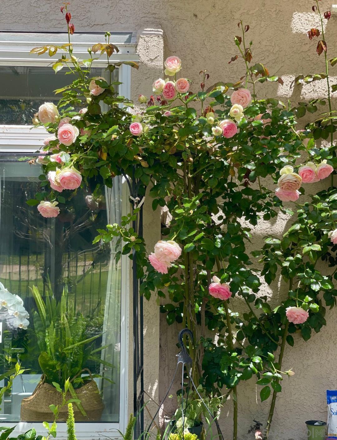 Detail Gallery Image 31 of 38 For 5135  Caminito Exquisito, San Diego,  CA 92130 - 3 Beds | 2 Baths