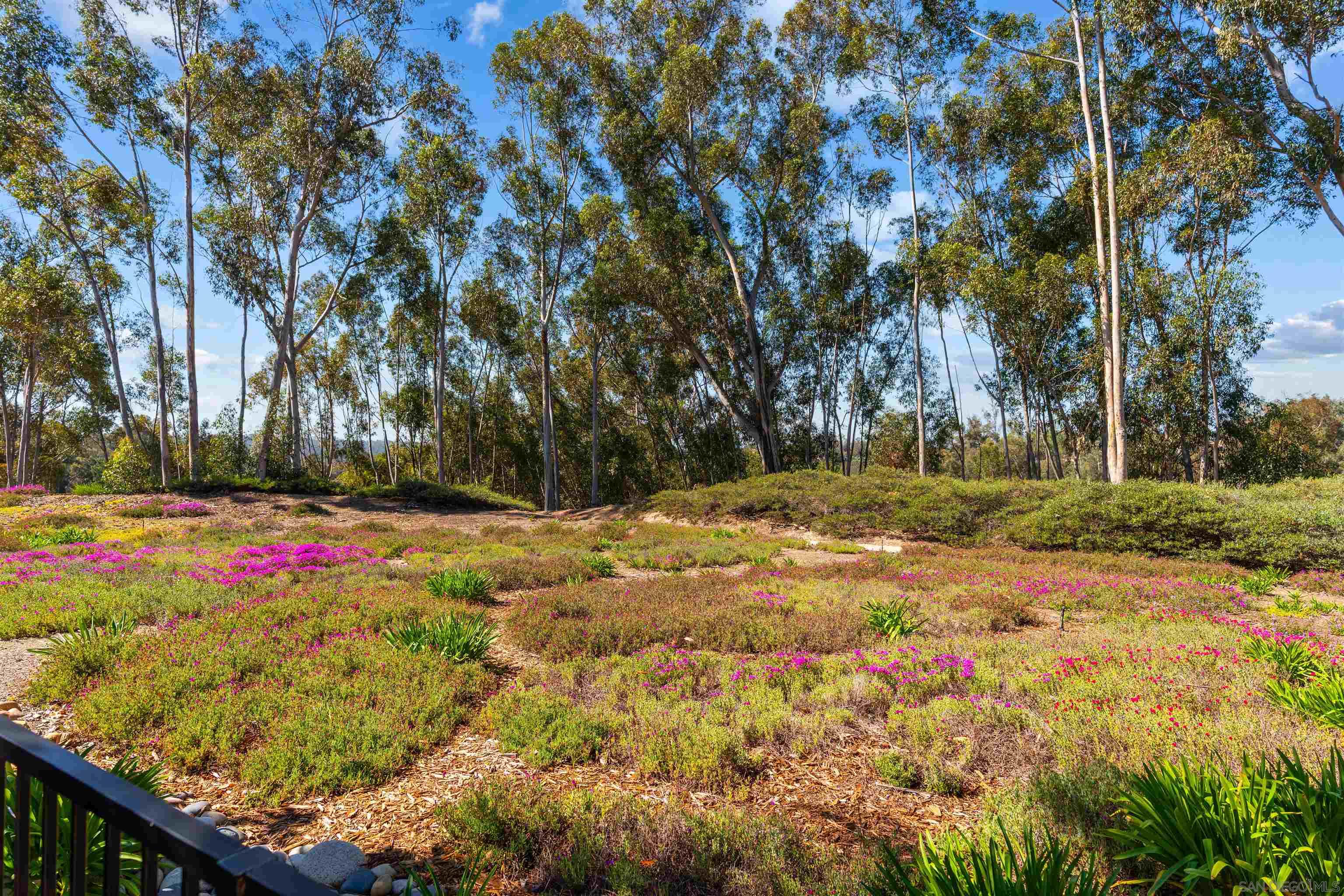Detail Gallery Image 36 of 48 For 10884  Caminito Colorado, San Diego,  CA 92131 - 3 Beds | 2/1 Baths