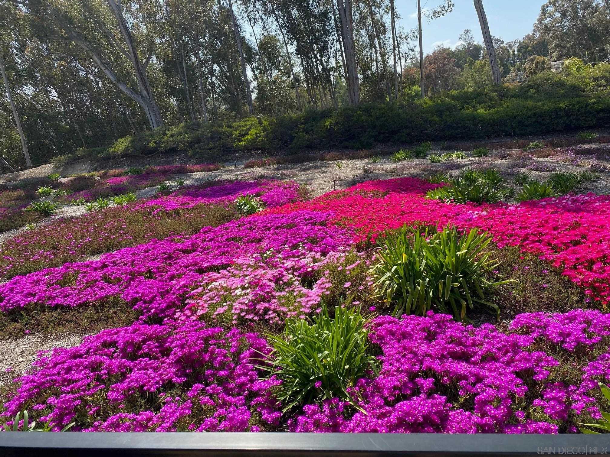 Detail Gallery Image 39 of 52 For 10884  Caminito Colorado, San Diego,  CA 92131 - 3 Beds | 2/1 Baths