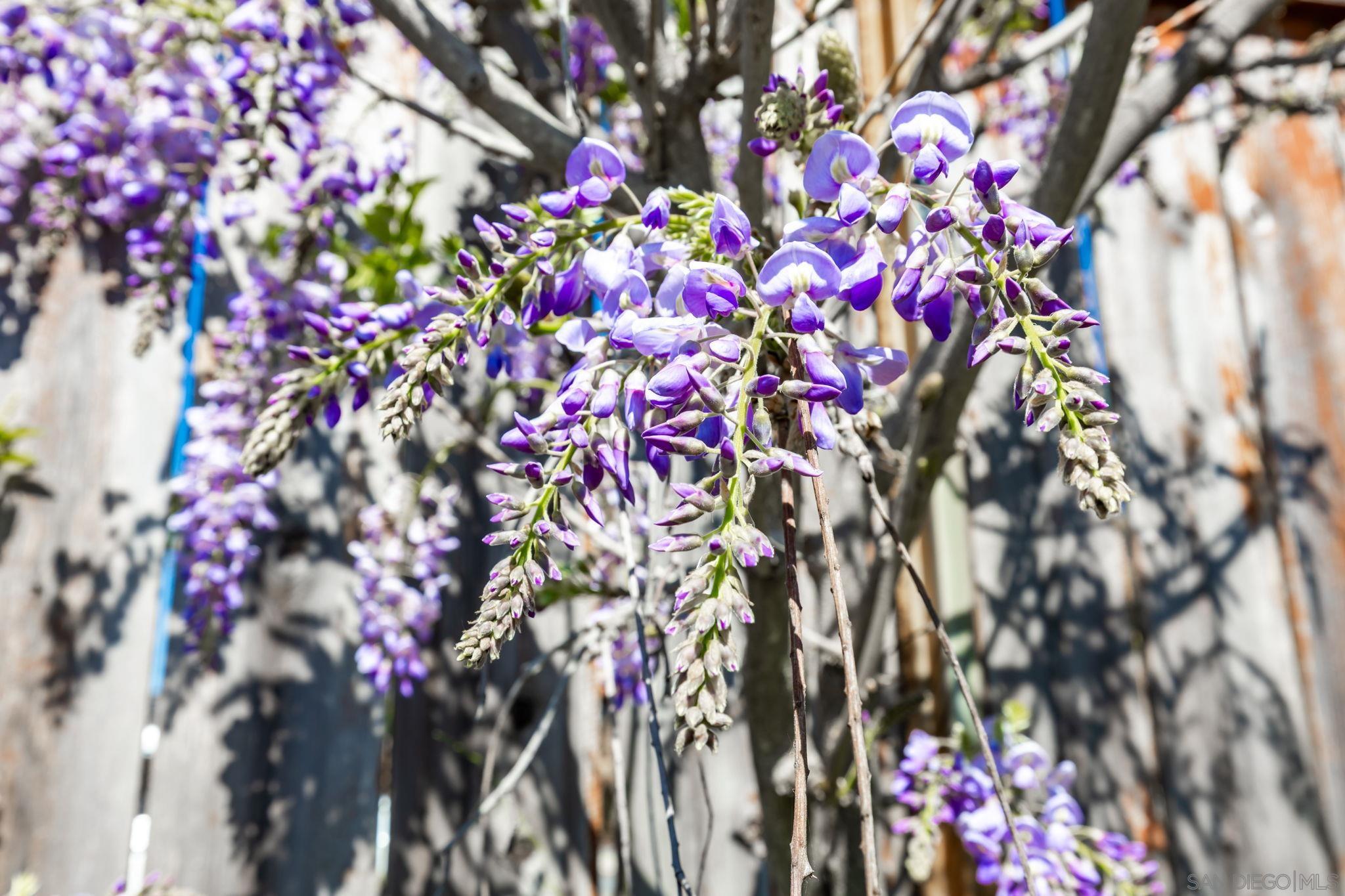 Detail Gallery Image 24 of 37 For 5177  Loma Verde, Oceanside,  CA 92056 - 2 Beds | 2 Baths