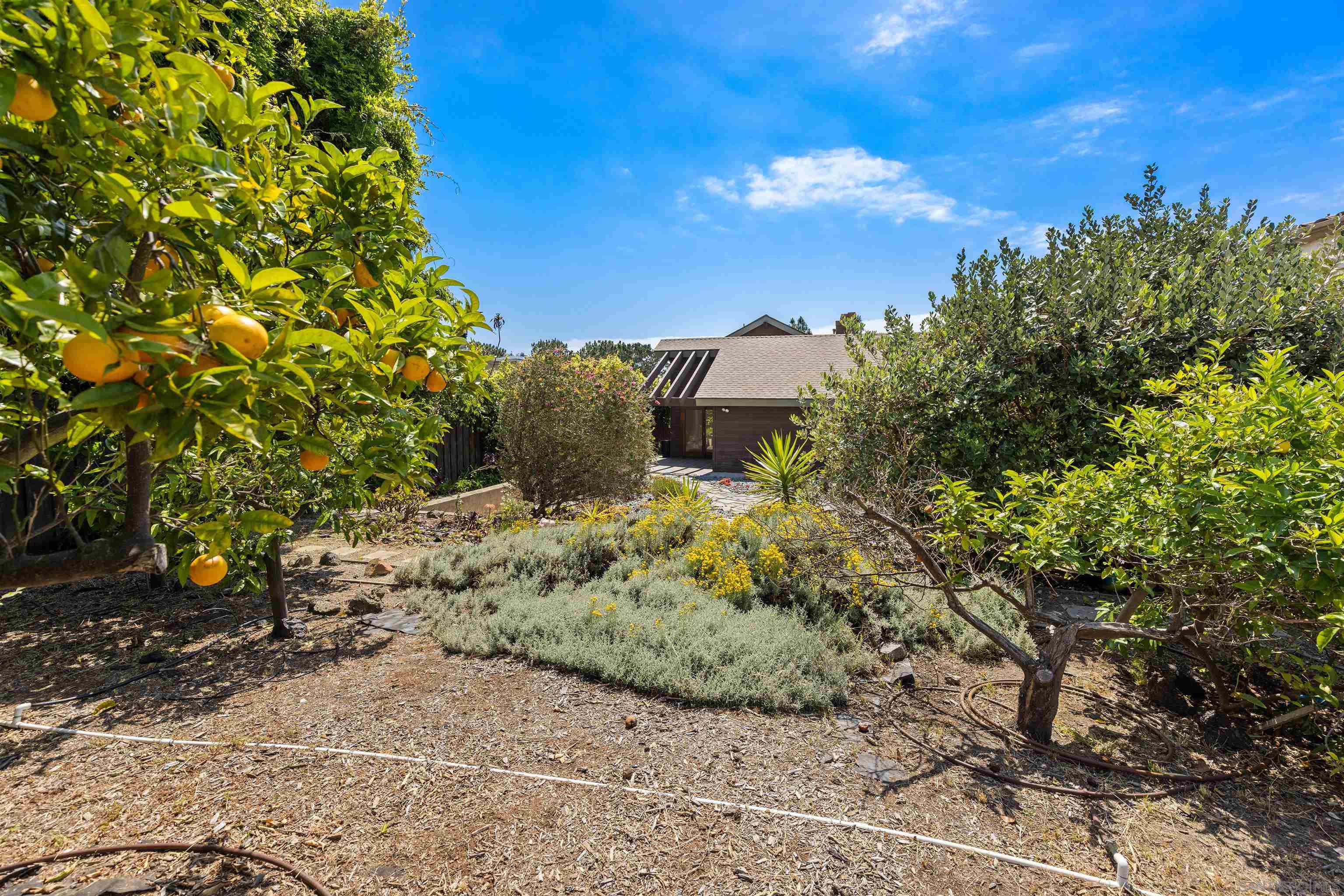 Detail Gallery Image 40 of 45 For 13645  Pine Needles Dr, Del Mar,  CA 92014 - 4 Beds | 2/1 Baths