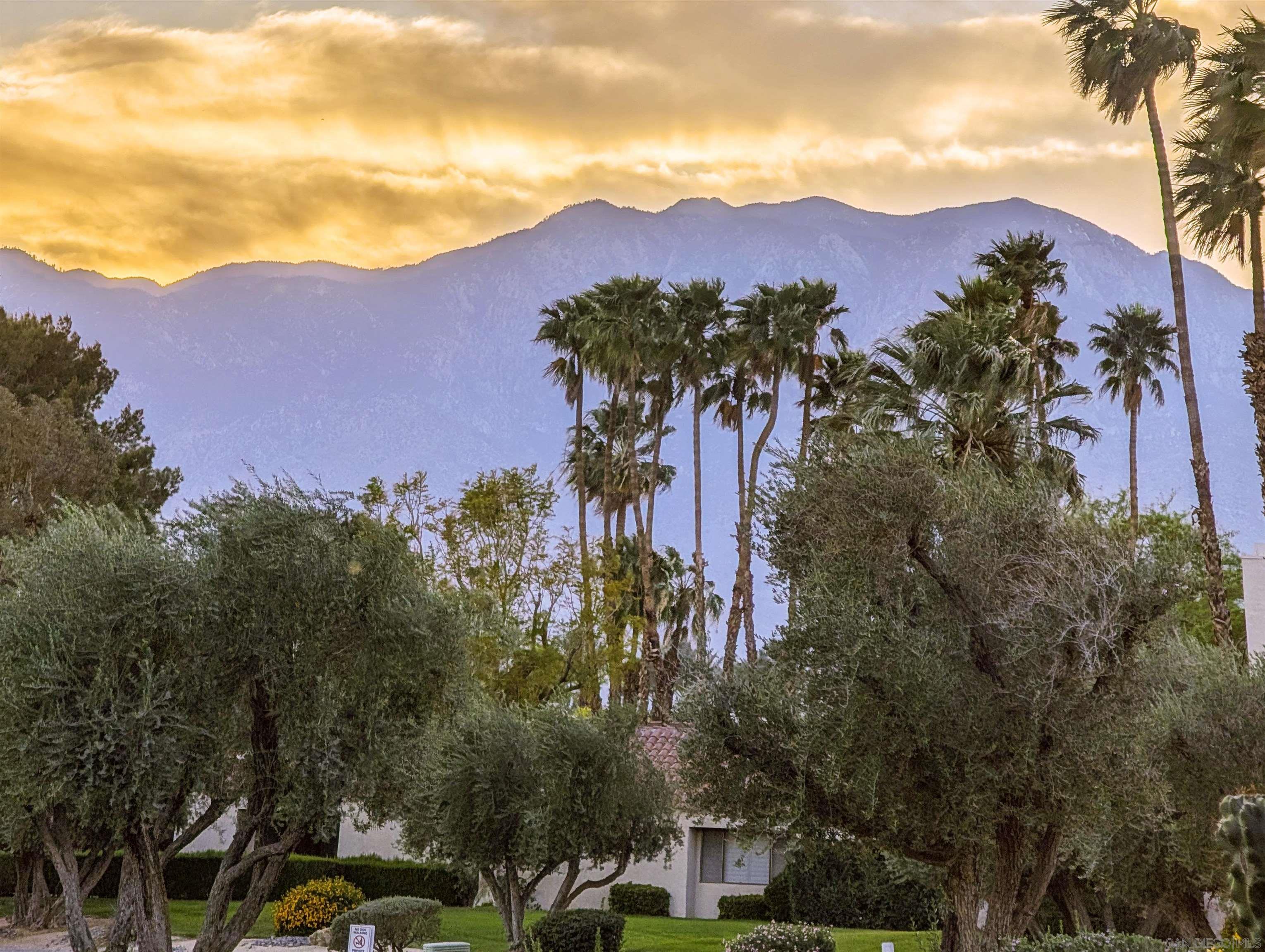 Detail Gallery Image 13 of 49 For 359  Wimbledon Drive, Rancho Mirage,  CA 92270 - 2 Beds | 2 Baths