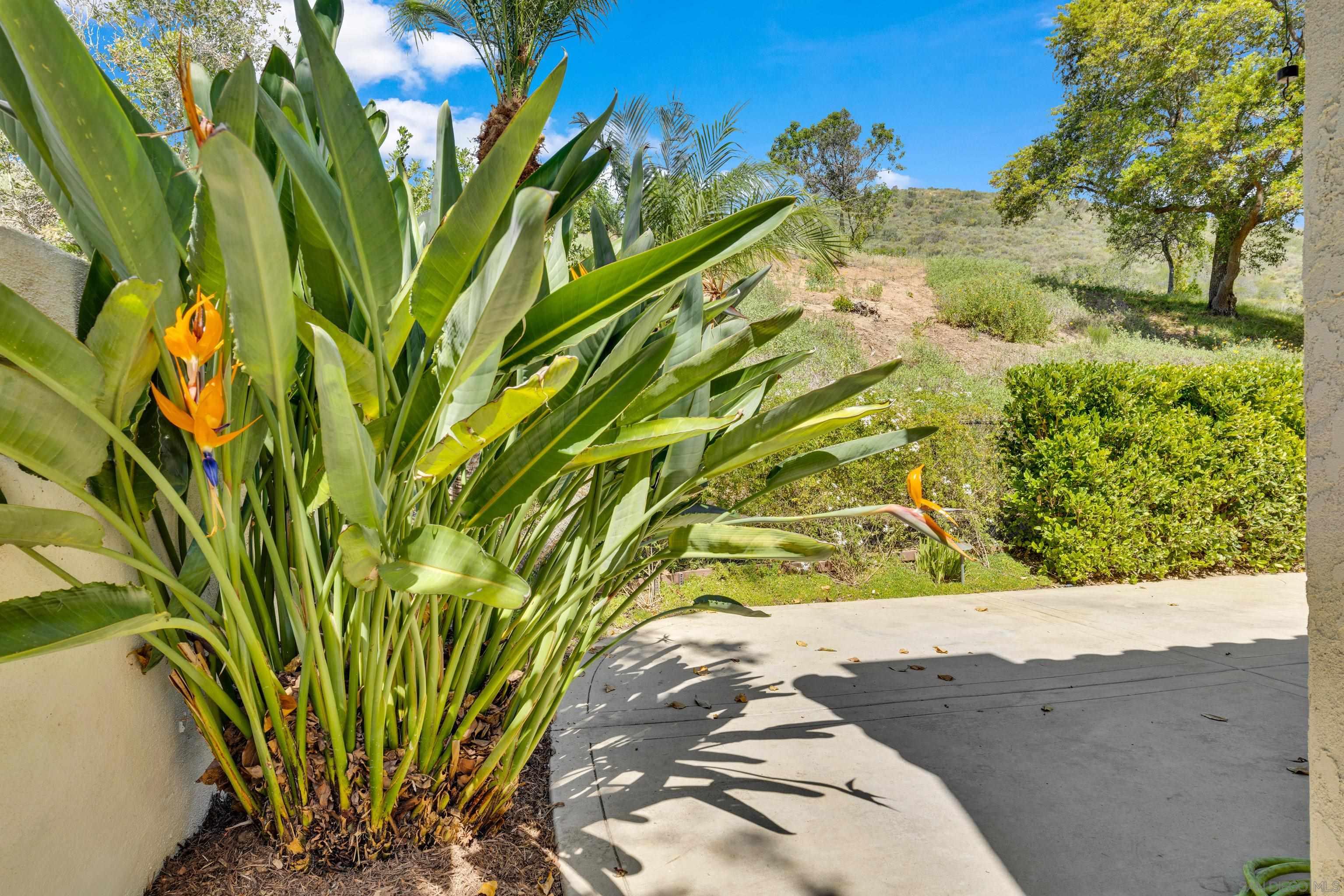 Detail Gallery Image 52 of 55 For 11604  Springside Rd, San Diego,  CA 92128 - 3 Beds | 2 Baths