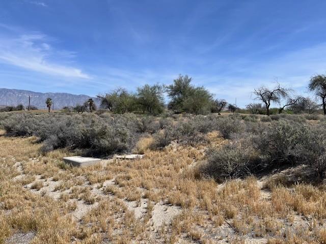 Front Image Thumbnail for SD260006151