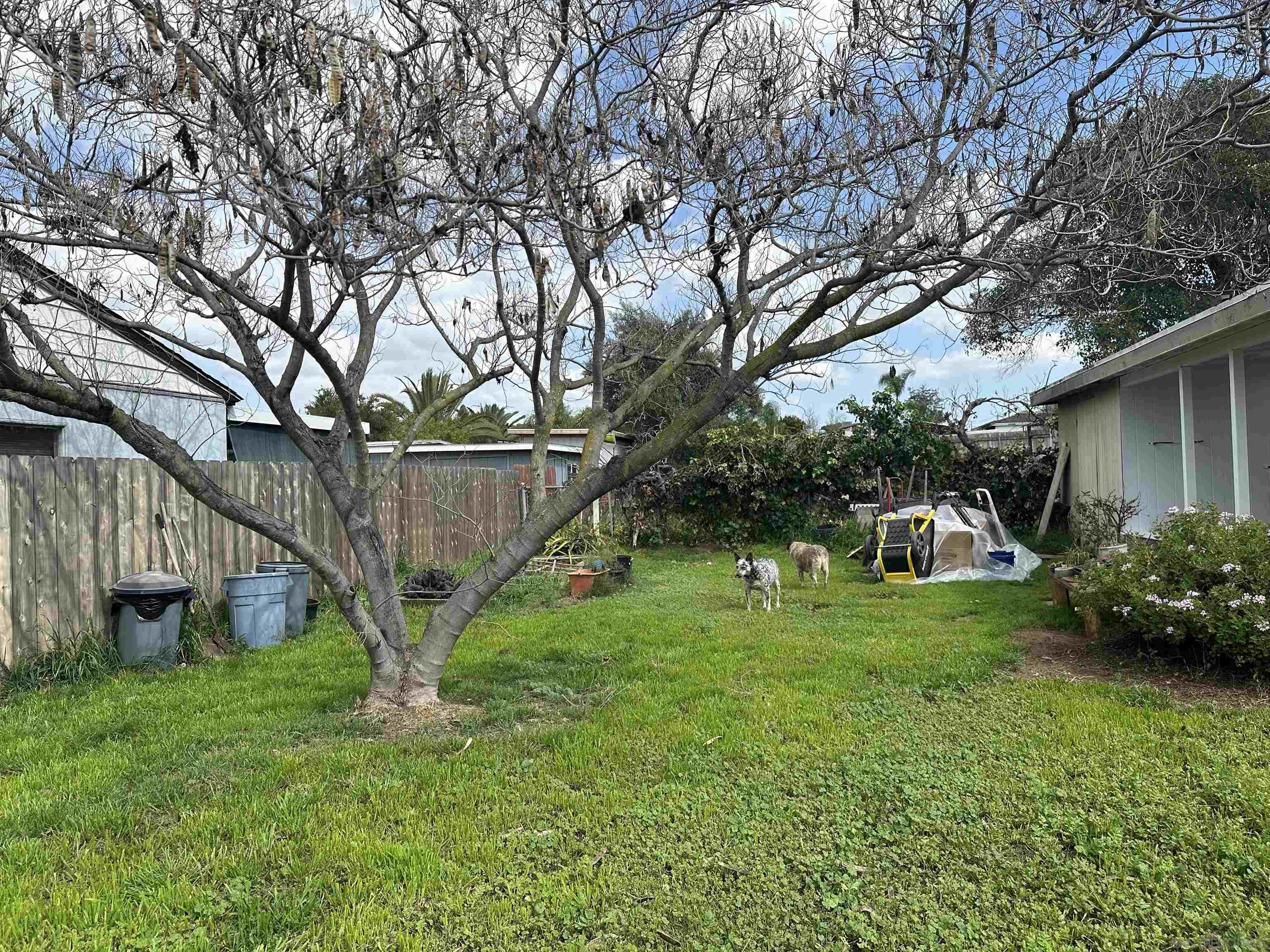 Detail Gallery Image 6 of 19 For 314 E E Washington Ave, El Cajon,  CA 92020 - 2 Beds | 1 Baths