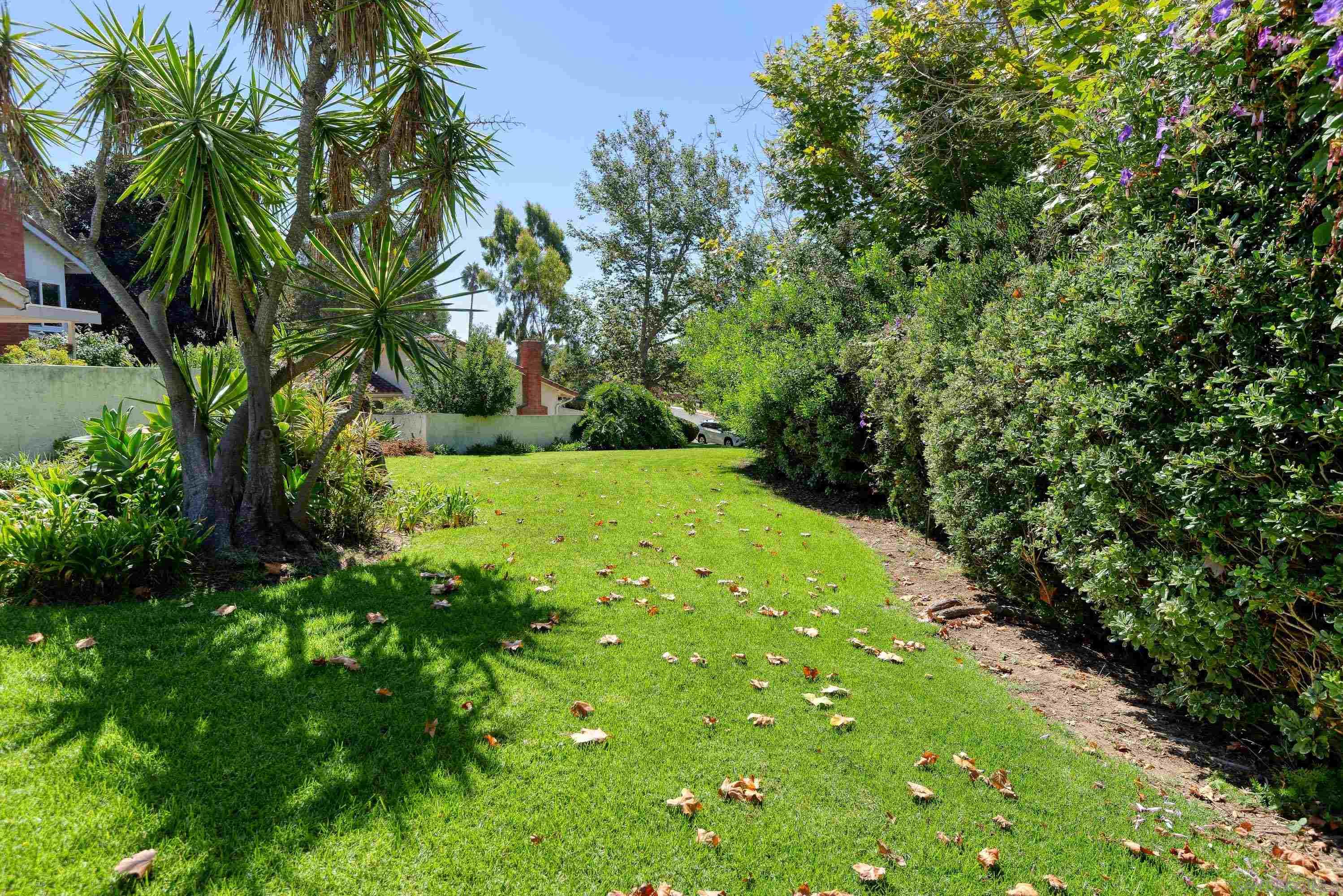 Detail Gallery Image 27 of 32 For 8358  Caminito Helecho, La Jolla,  CA 92037 - 4 Beds | 3 Baths