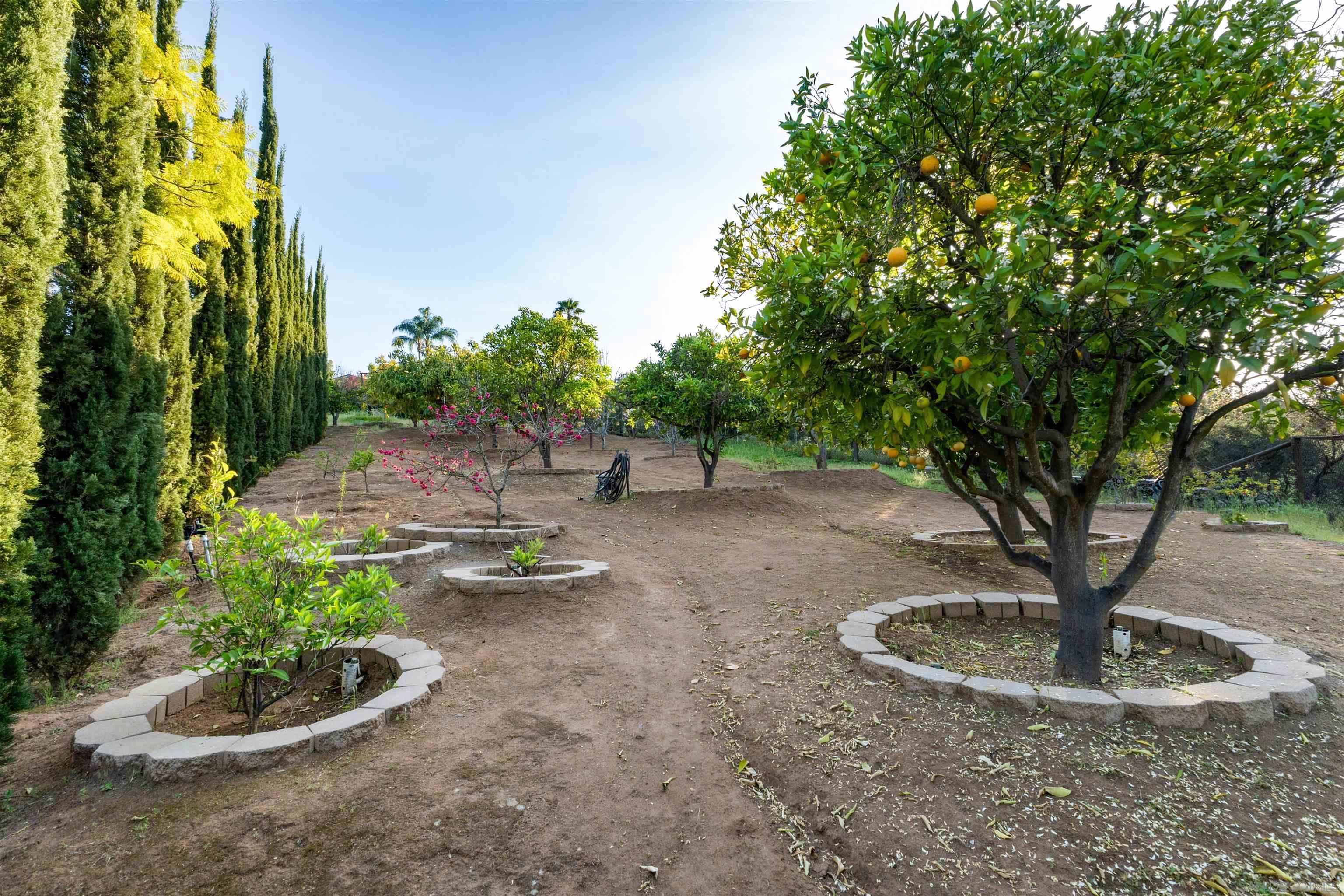 Detail Gallery Image 18 of 21 For 352  Calle Bonita, Escondido,  CA 92029 - 4 Beds | 2/1 Baths