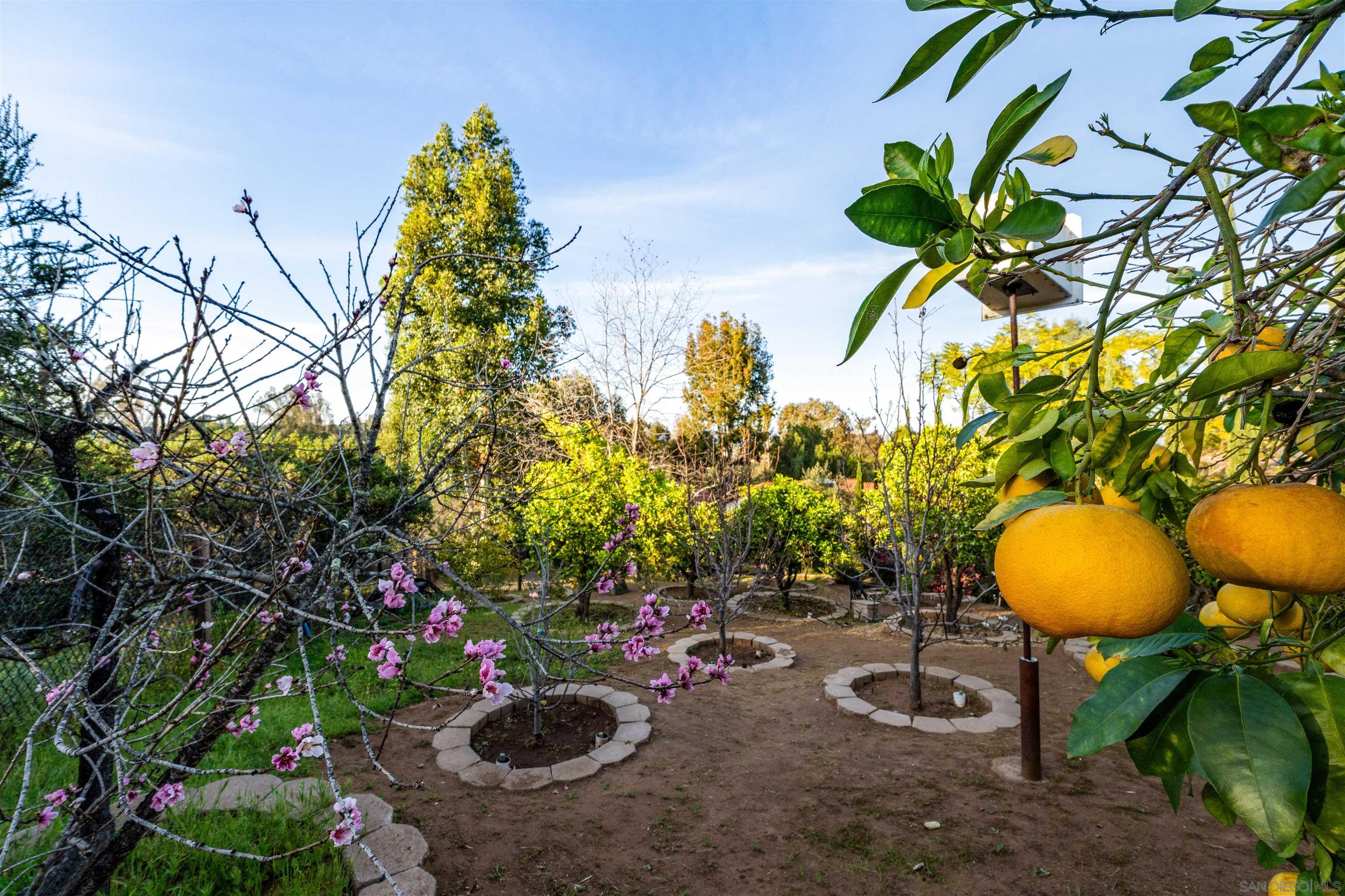 Detail Gallery Image 21 of 21 For 352  Calle Bonita, Escondido,  CA 92029 - 4 Beds | 2/1 Baths