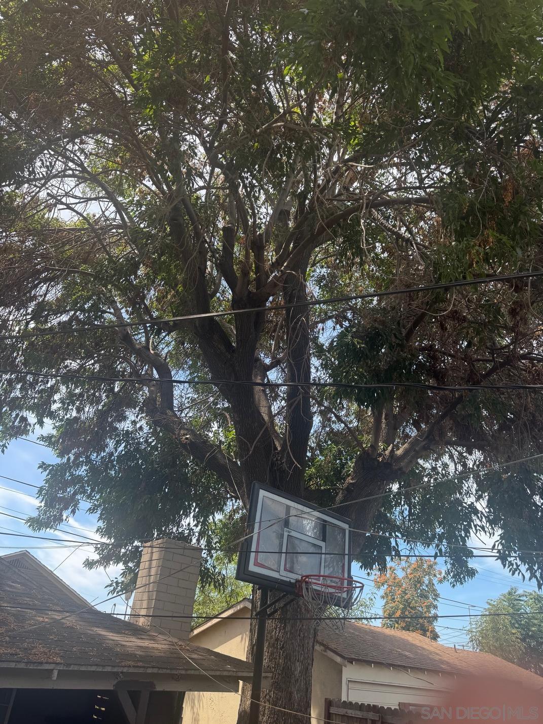 Detail Gallery Image 19 of 45 For 800 W 99th Street, Los Angeles,  CA 90044 - 3 Beds | 1 Baths