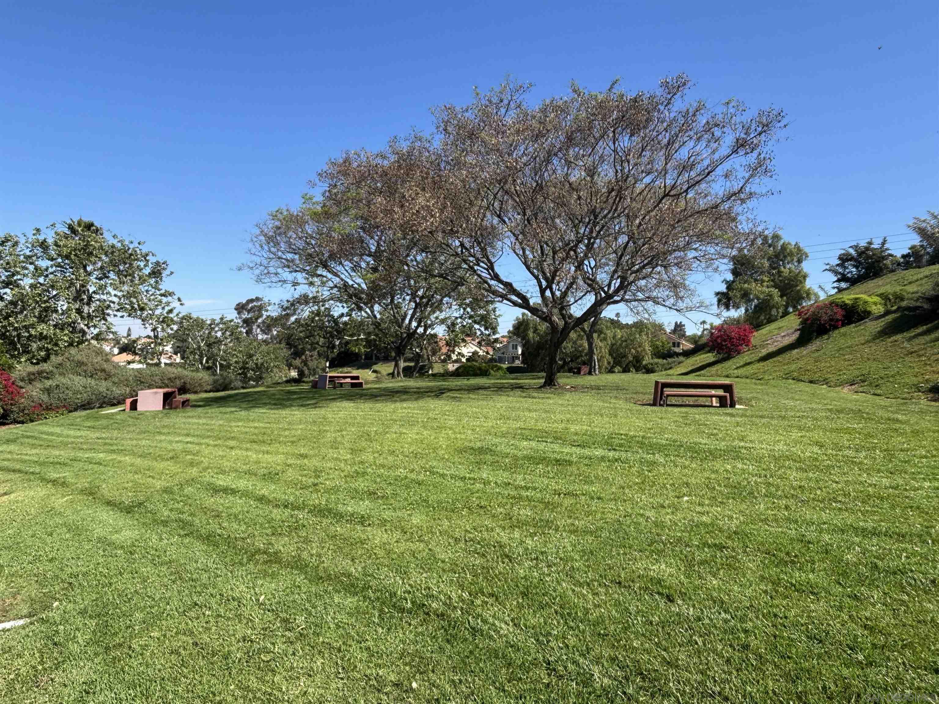 Detail Gallery Image 49 of 56 For 1979  Spanish Oak Way, Vista,  CA 92081 - 4 Beds | 2/1 Baths