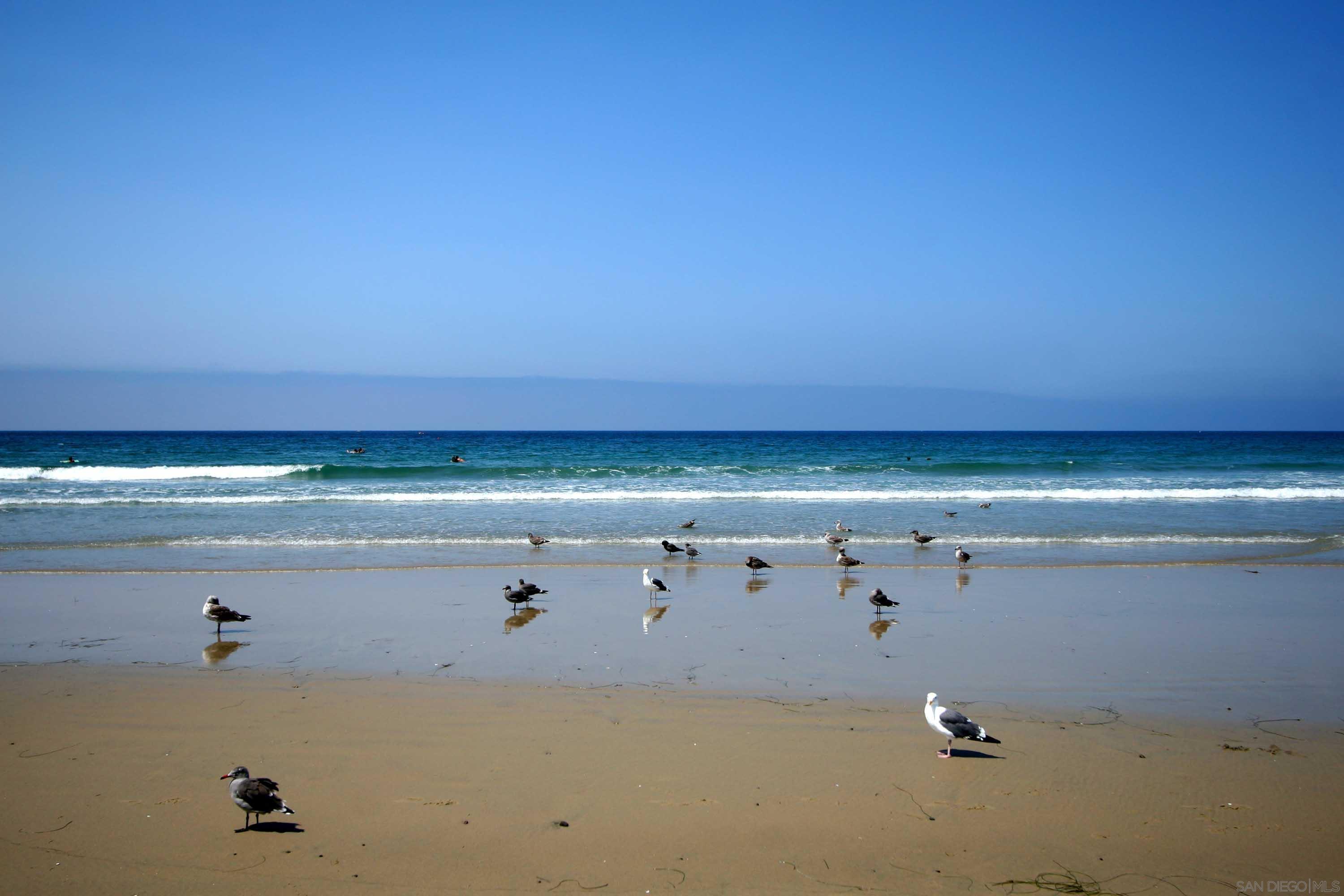 Detail Gallery Image 45 of 48 For 7948  Roseland Dr, La Jolla,  CA 92037 - 5 Beds | 4 Baths